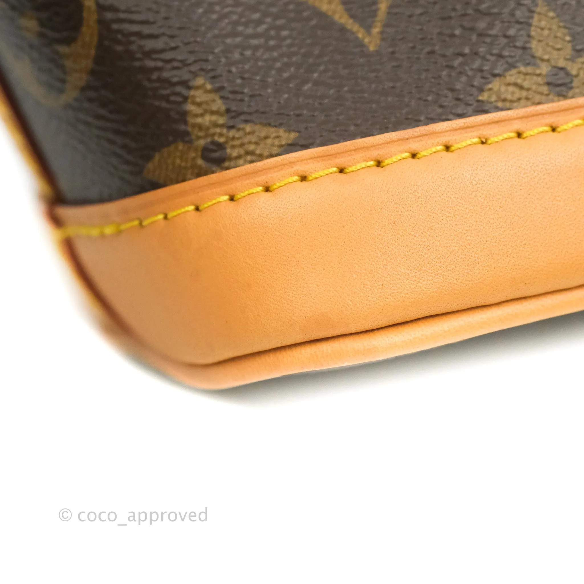 Louis Vuitton Monogram Nano Noe