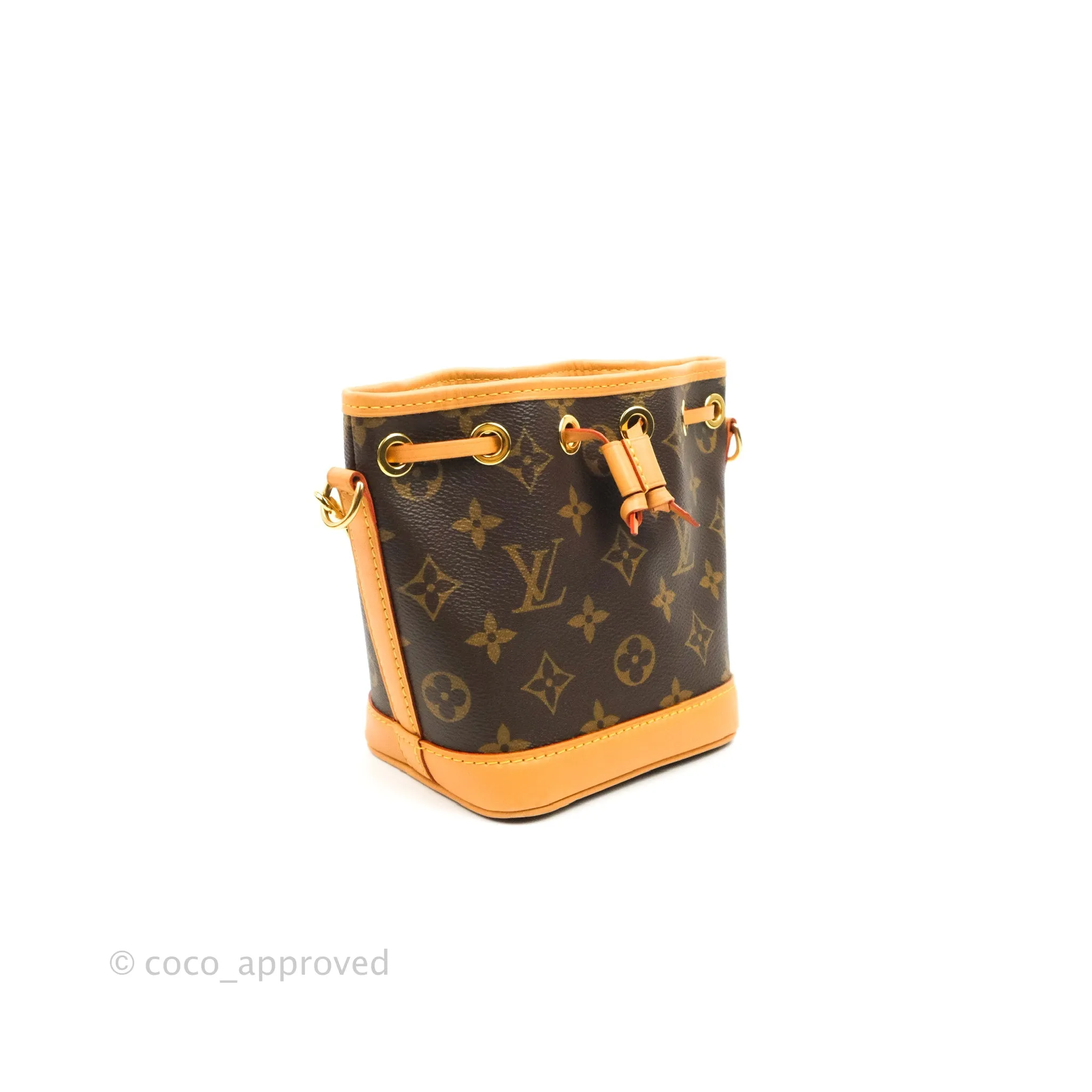 Louis Vuitton Monogram Nano Noe