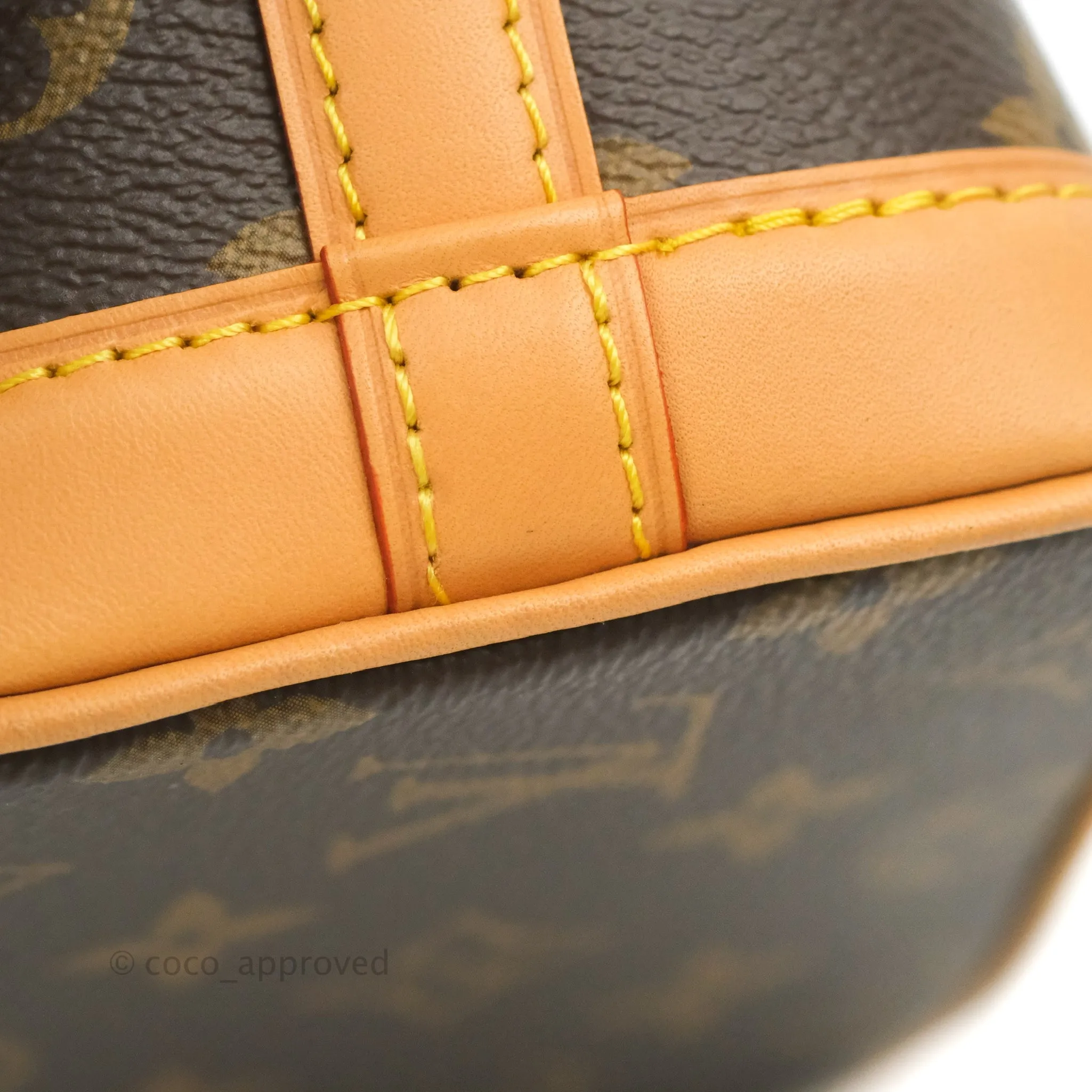 Louis Vuitton Monogram Nano Noe