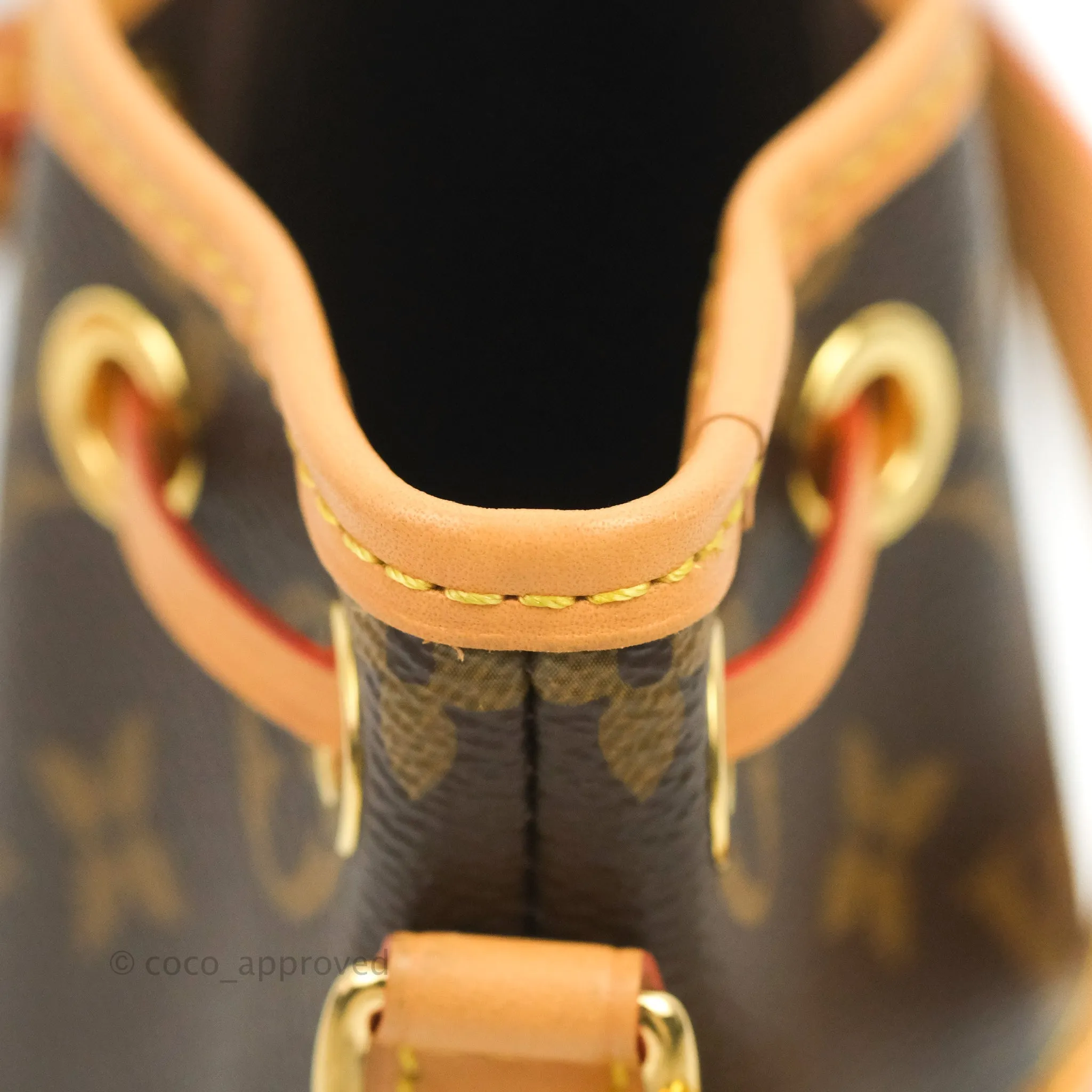 Louis Vuitton Monogram Nano Noe