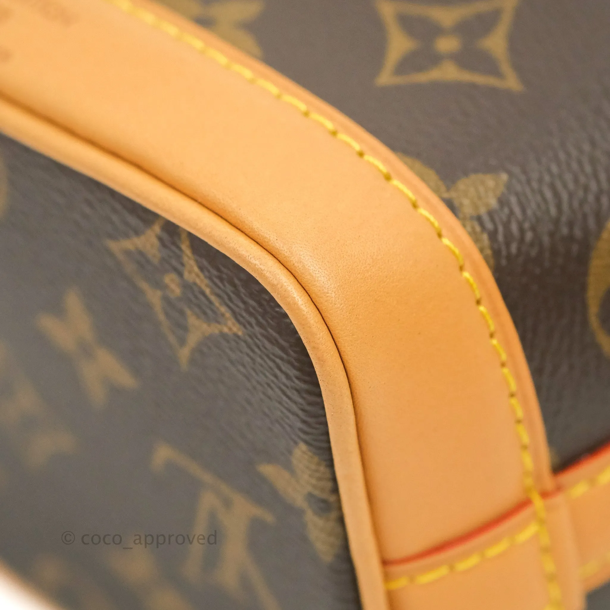 Louis Vuitton Monogram Nano Noe