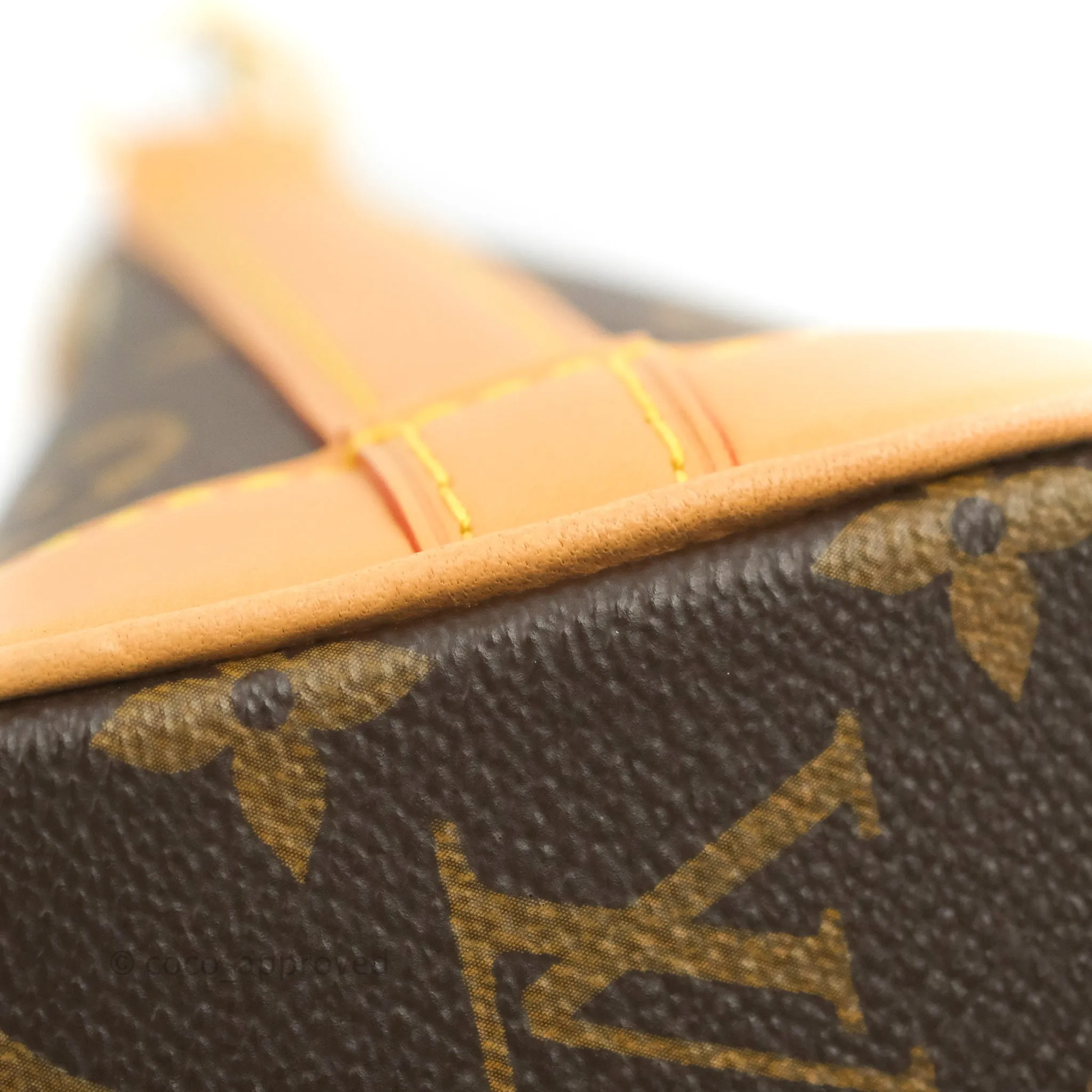 Louis Vuitton Monogram Nano Noe