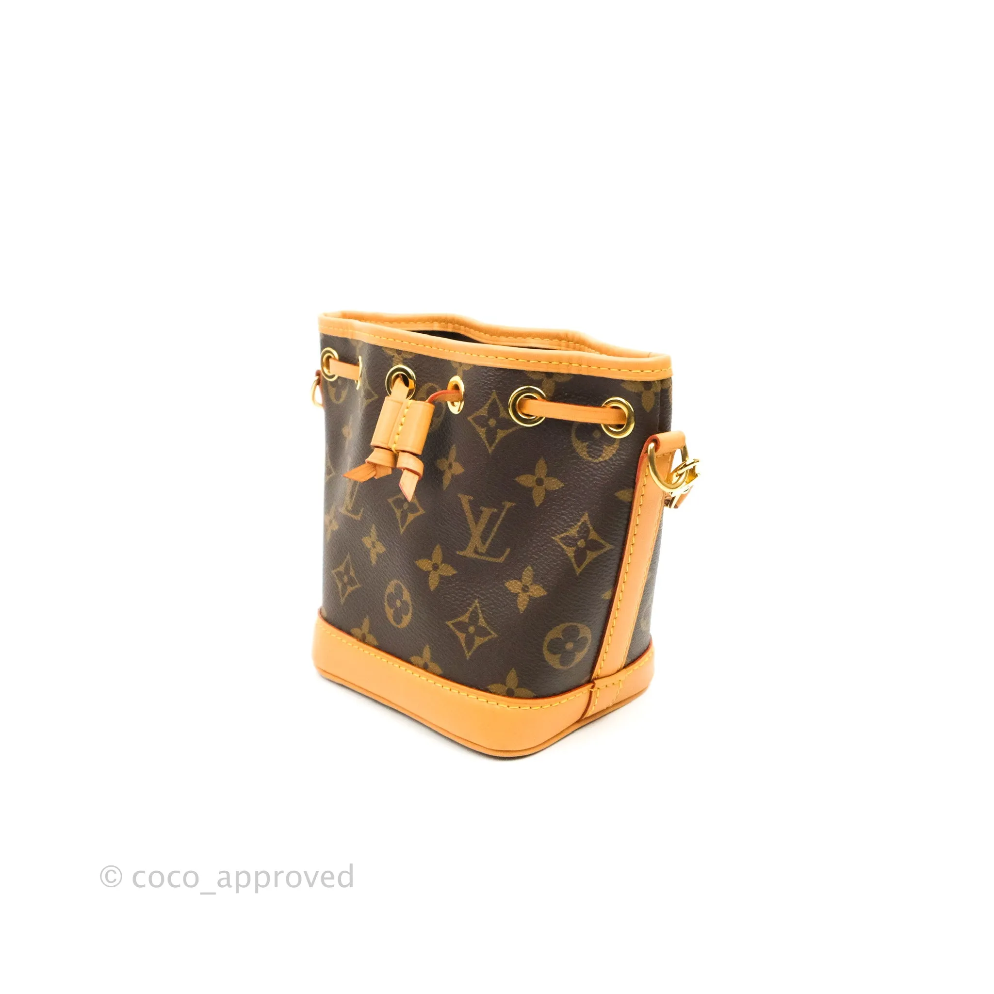 Louis Vuitton Monogram Nano Noe