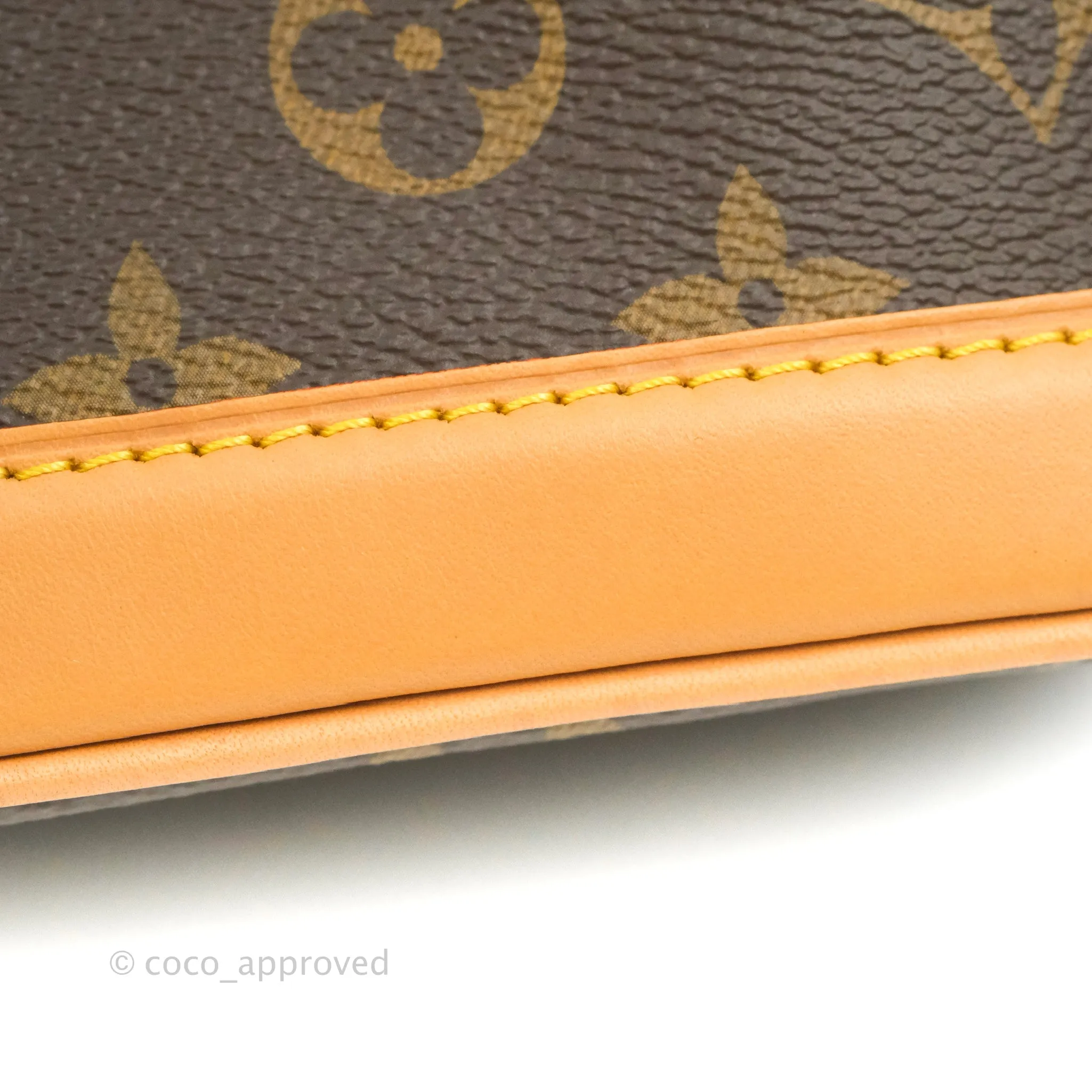 Louis Vuitton Monogram Nano Noe
