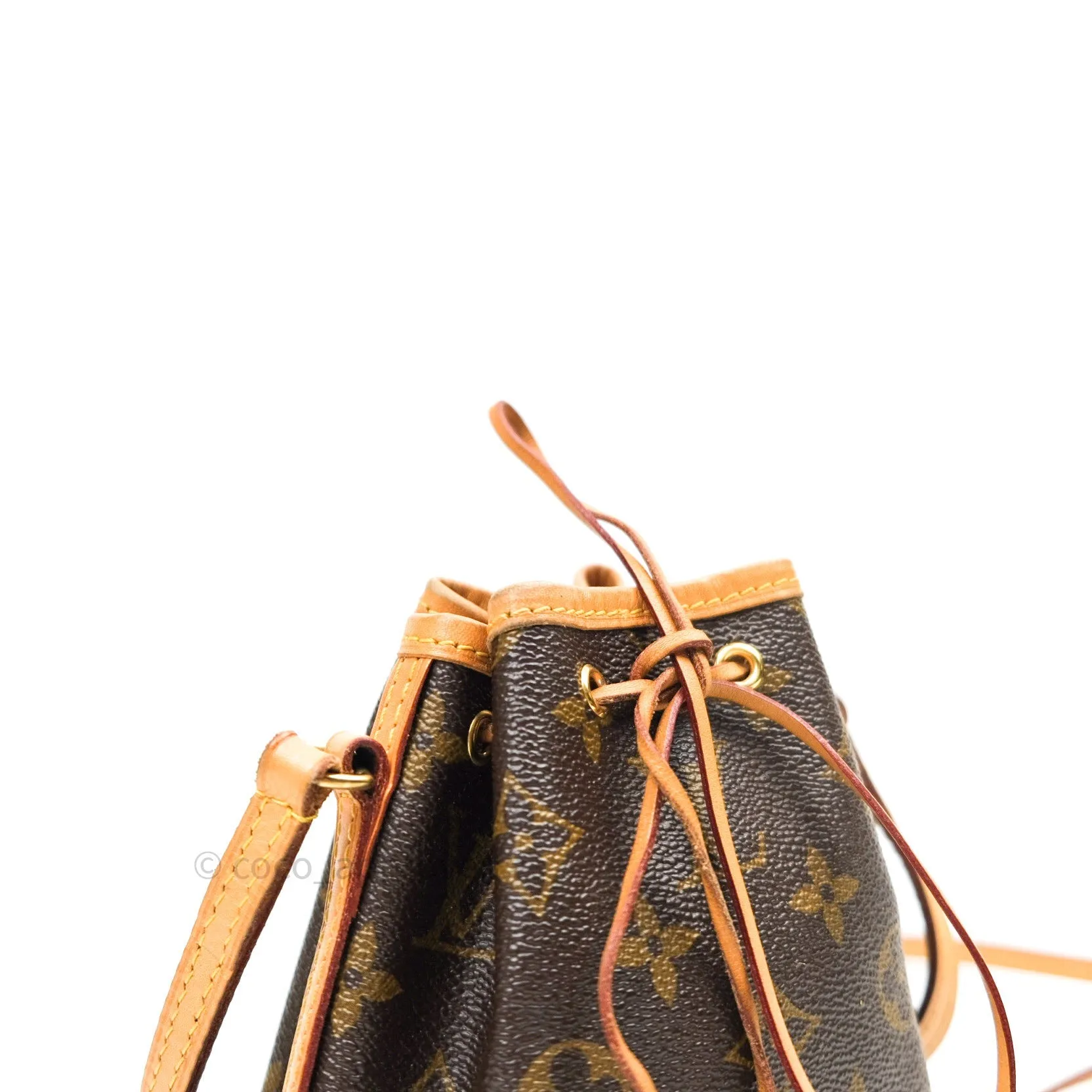 Louis Vuitton Monogram Nano Noe