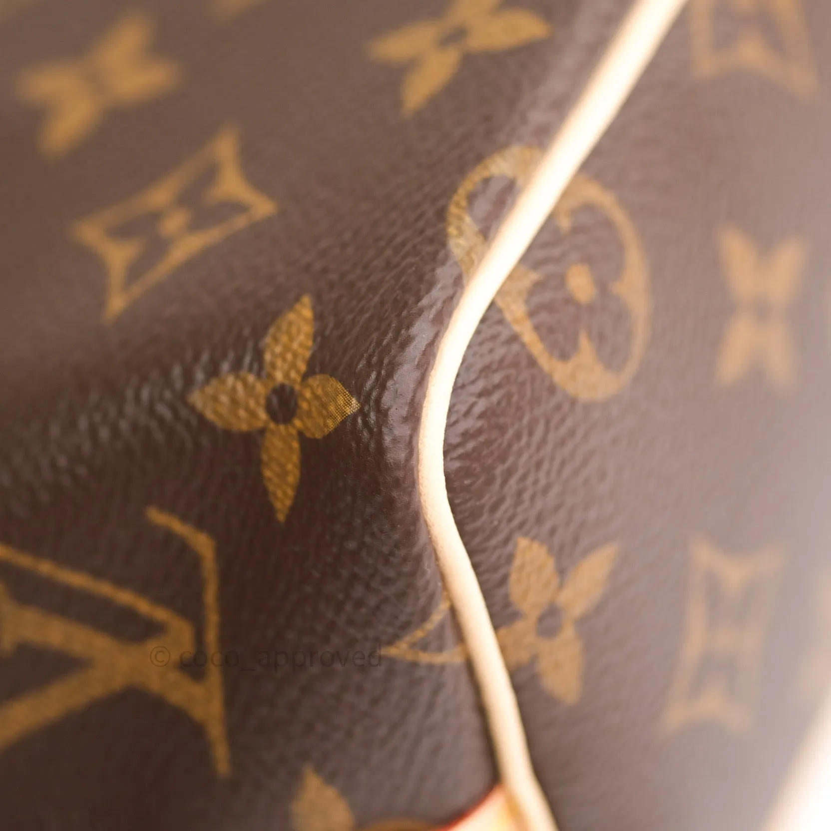 Louis Vuitton Monogram Nano Noe