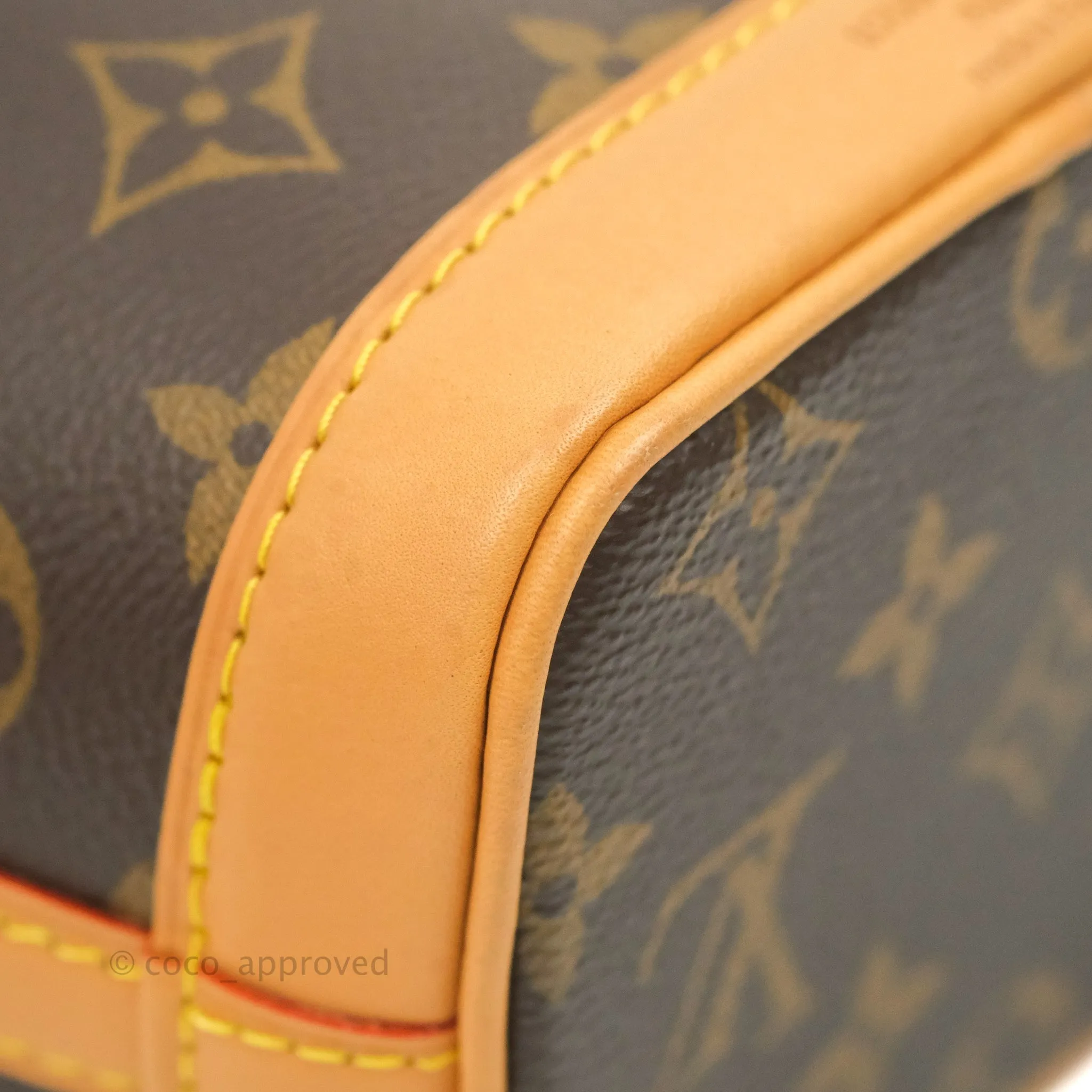 Louis Vuitton Monogram Nano Noe
