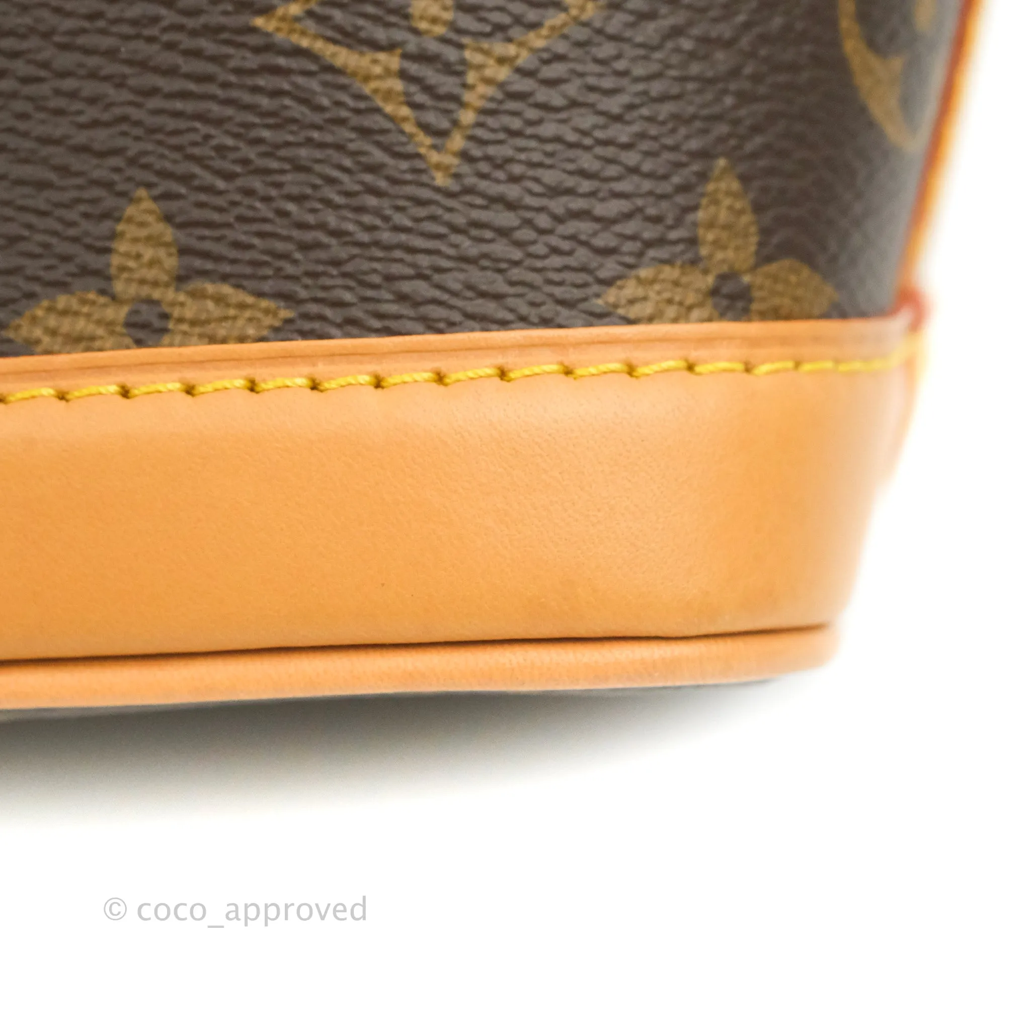 Louis Vuitton Monogram Nano Noe