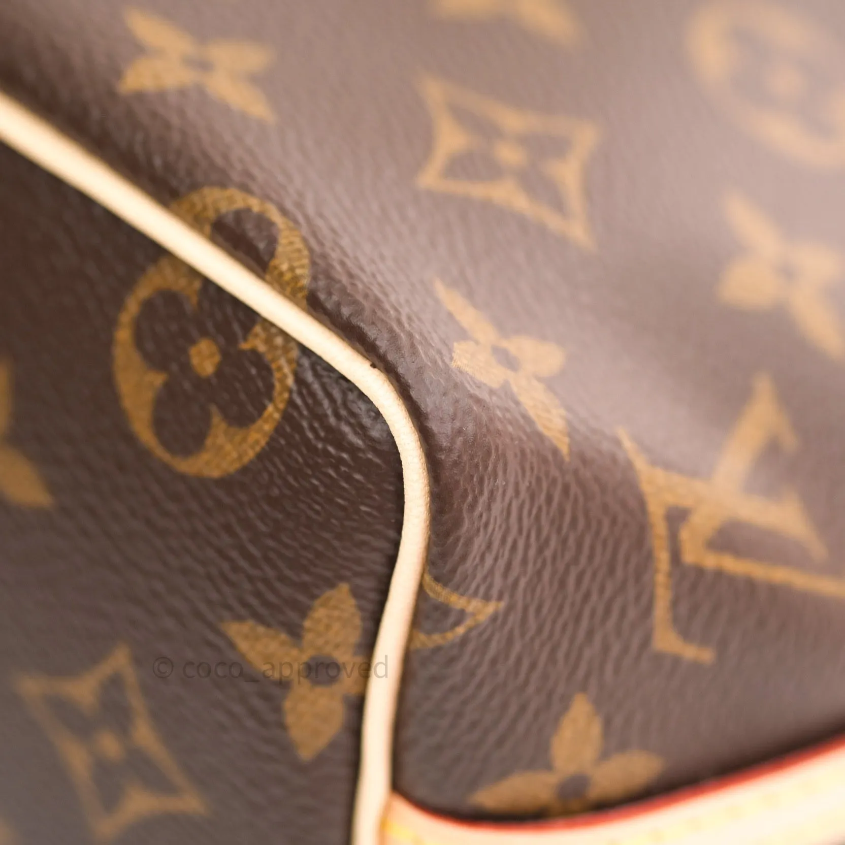Louis Vuitton Monogram Nano Noe