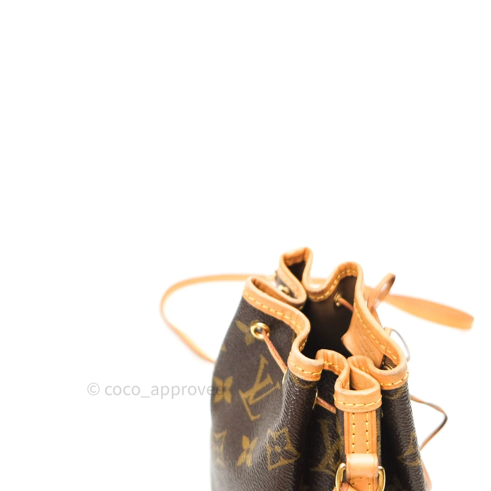 Louis Vuitton Monogram Nano Noe