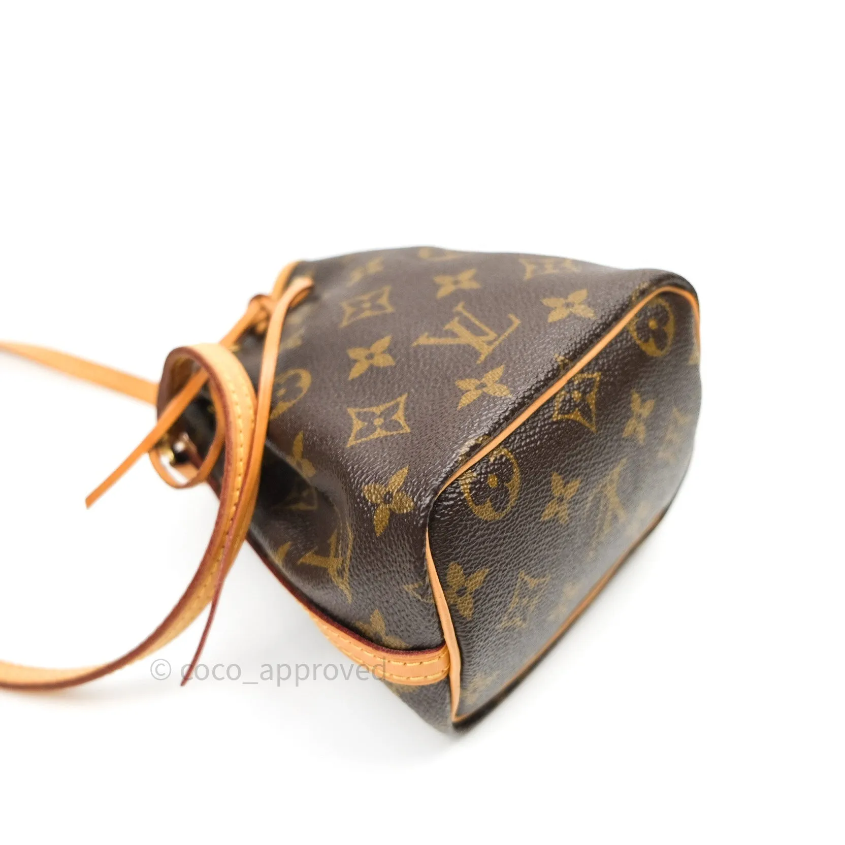 Louis Vuitton Monogram Nano Noe