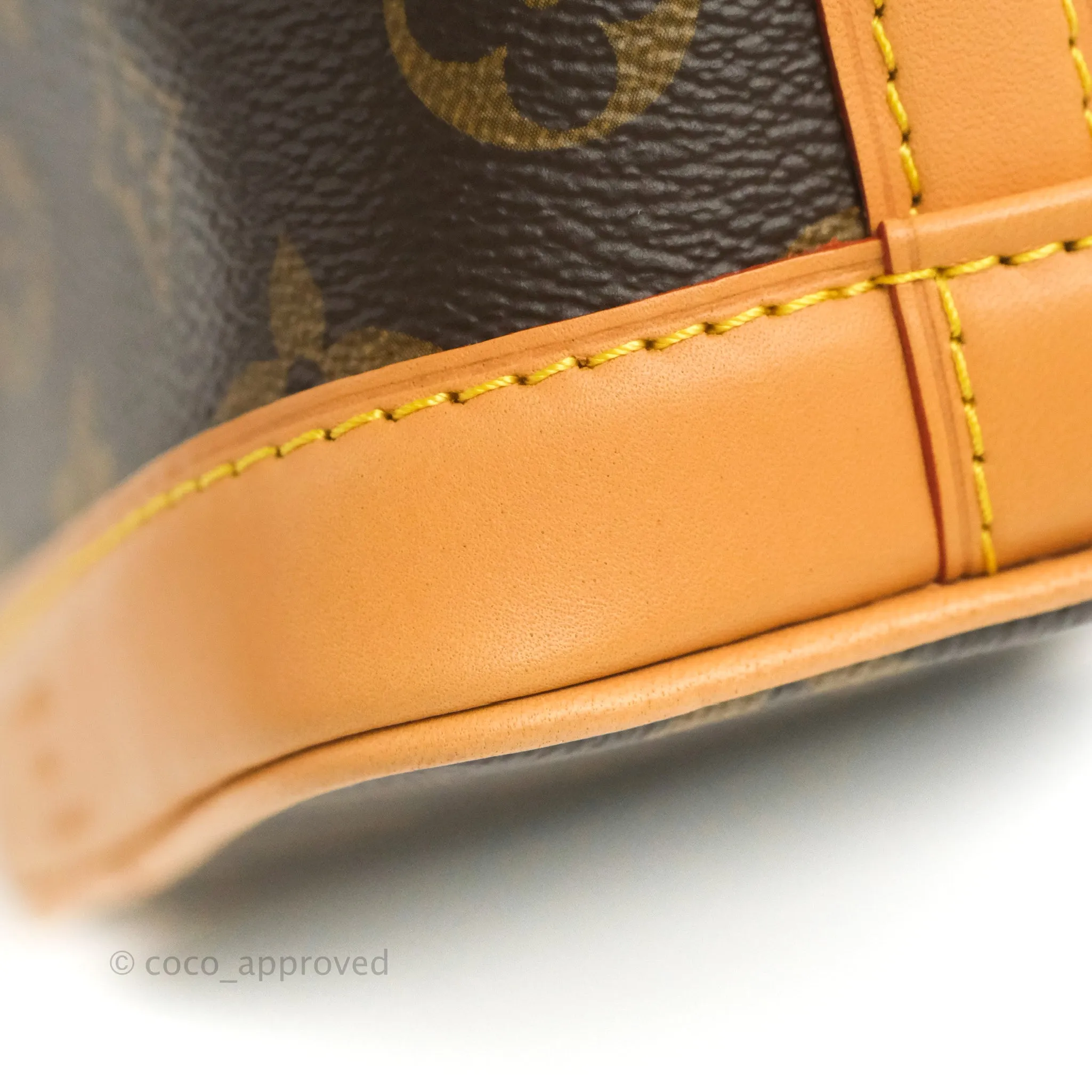 Louis Vuitton Monogram Nano Noe