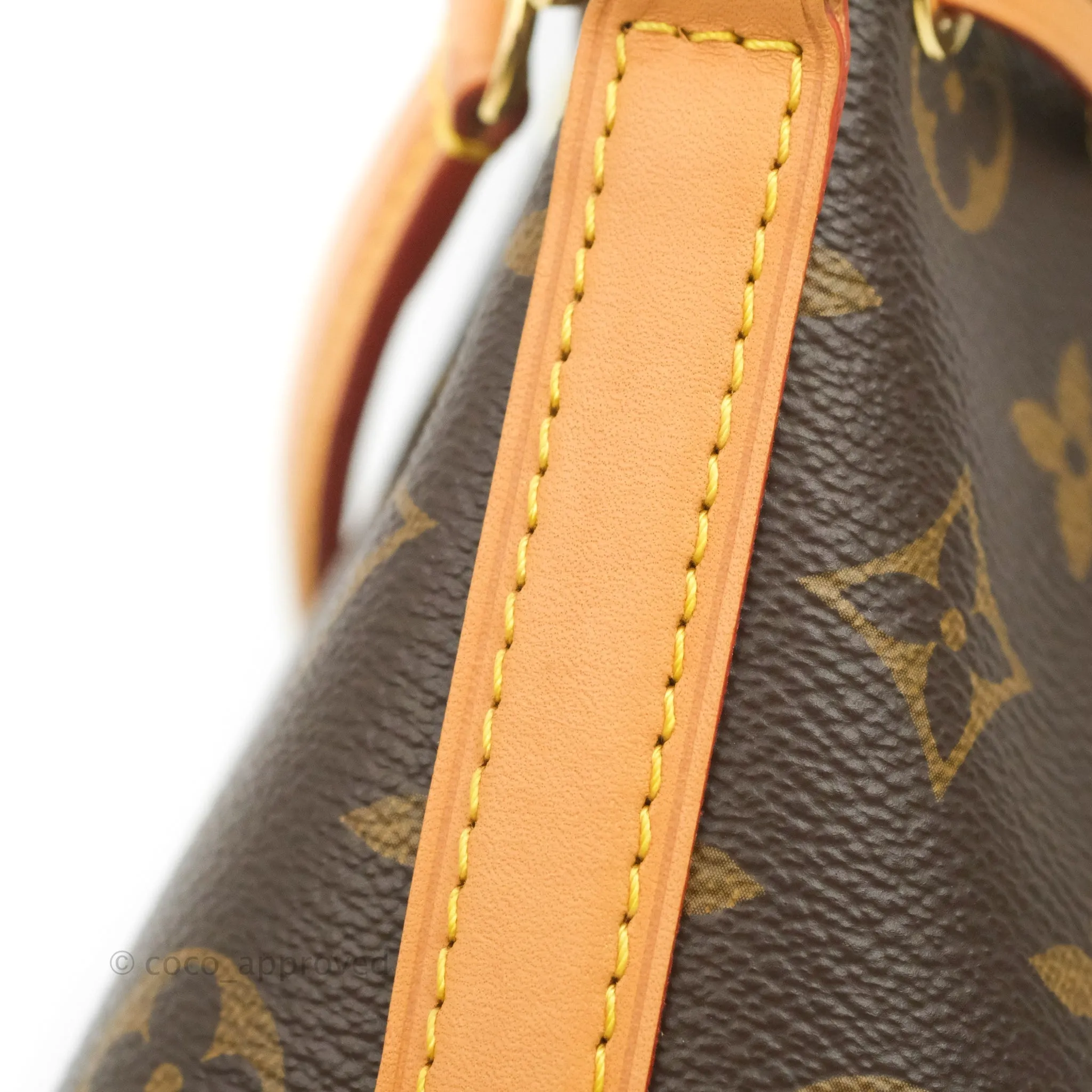 Louis Vuitton Monogram Nano Noe