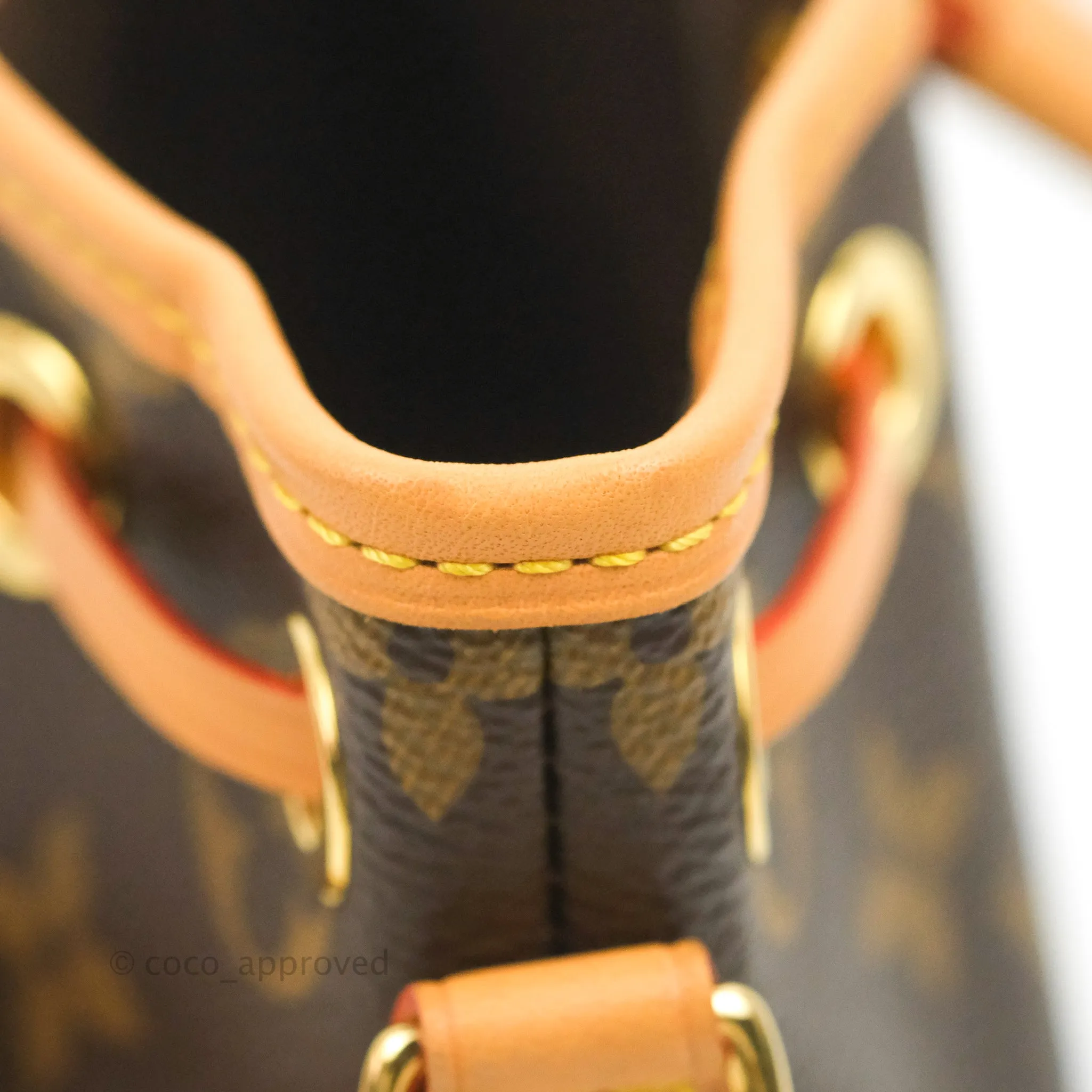 Louis Vuitton Monogram Nano Noe