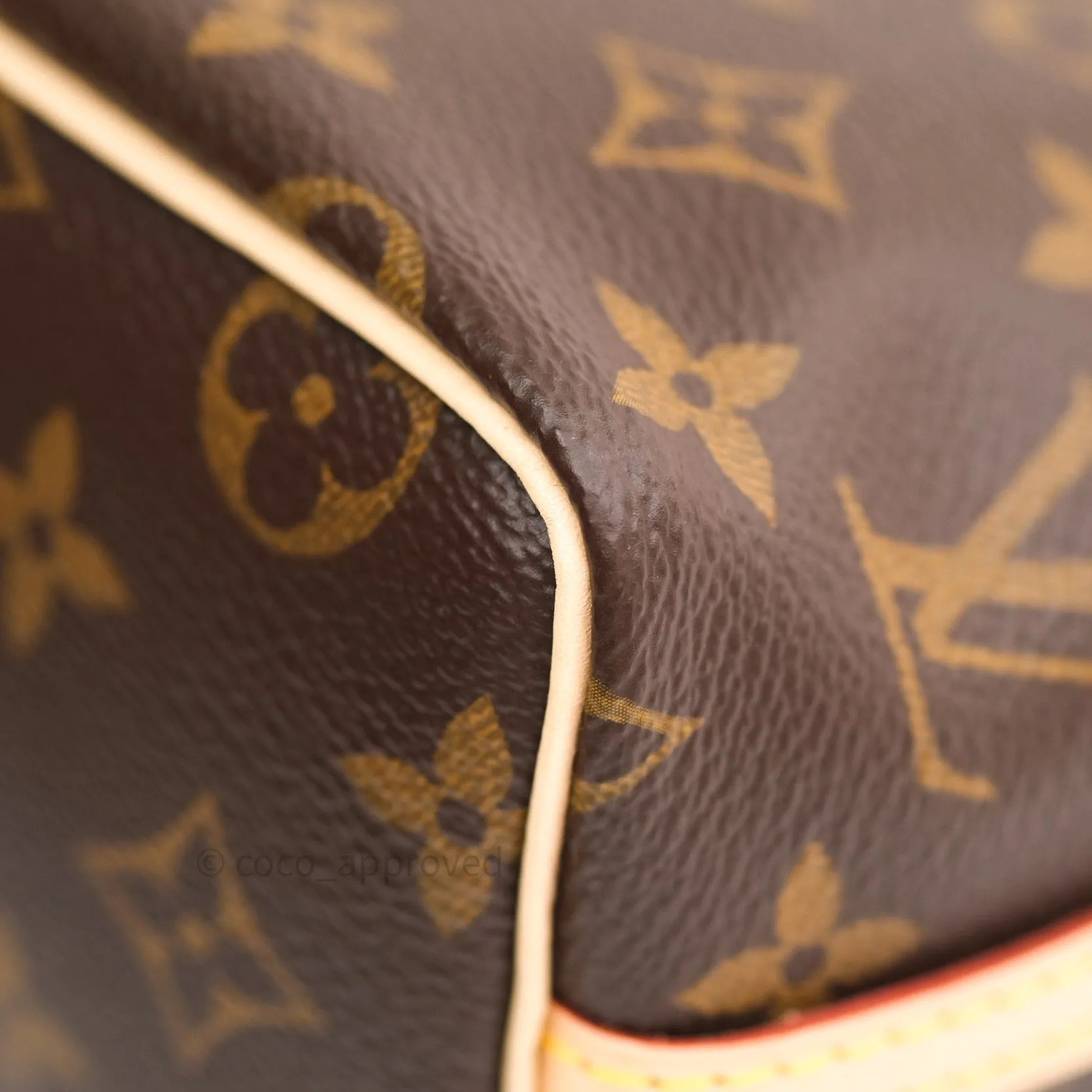 Louis Vuitton Monogram Nano Noe
