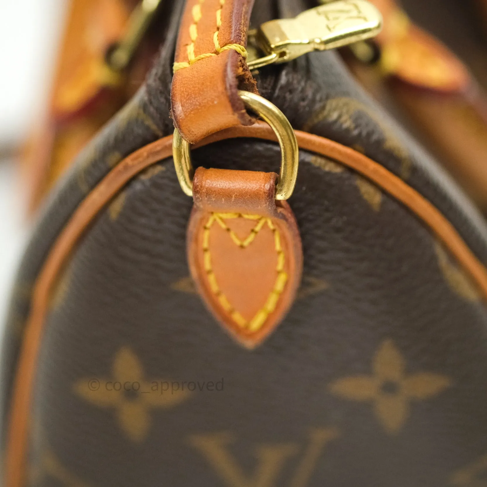 Louis Vuitton Monogram Nano Speedy