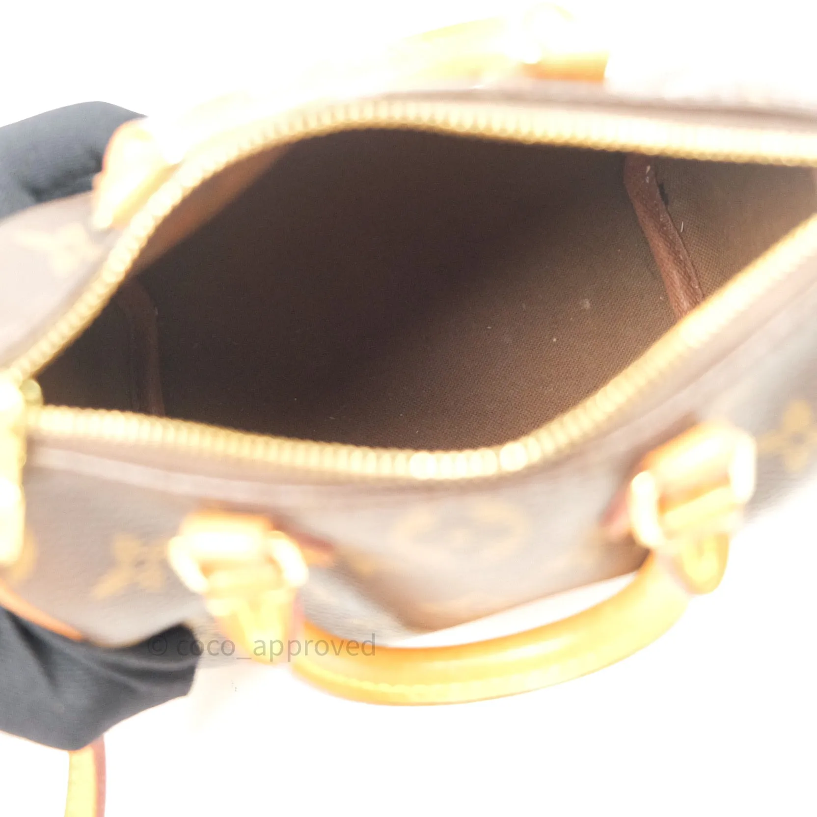 Louis Vuitton Monogram Nano Speedy