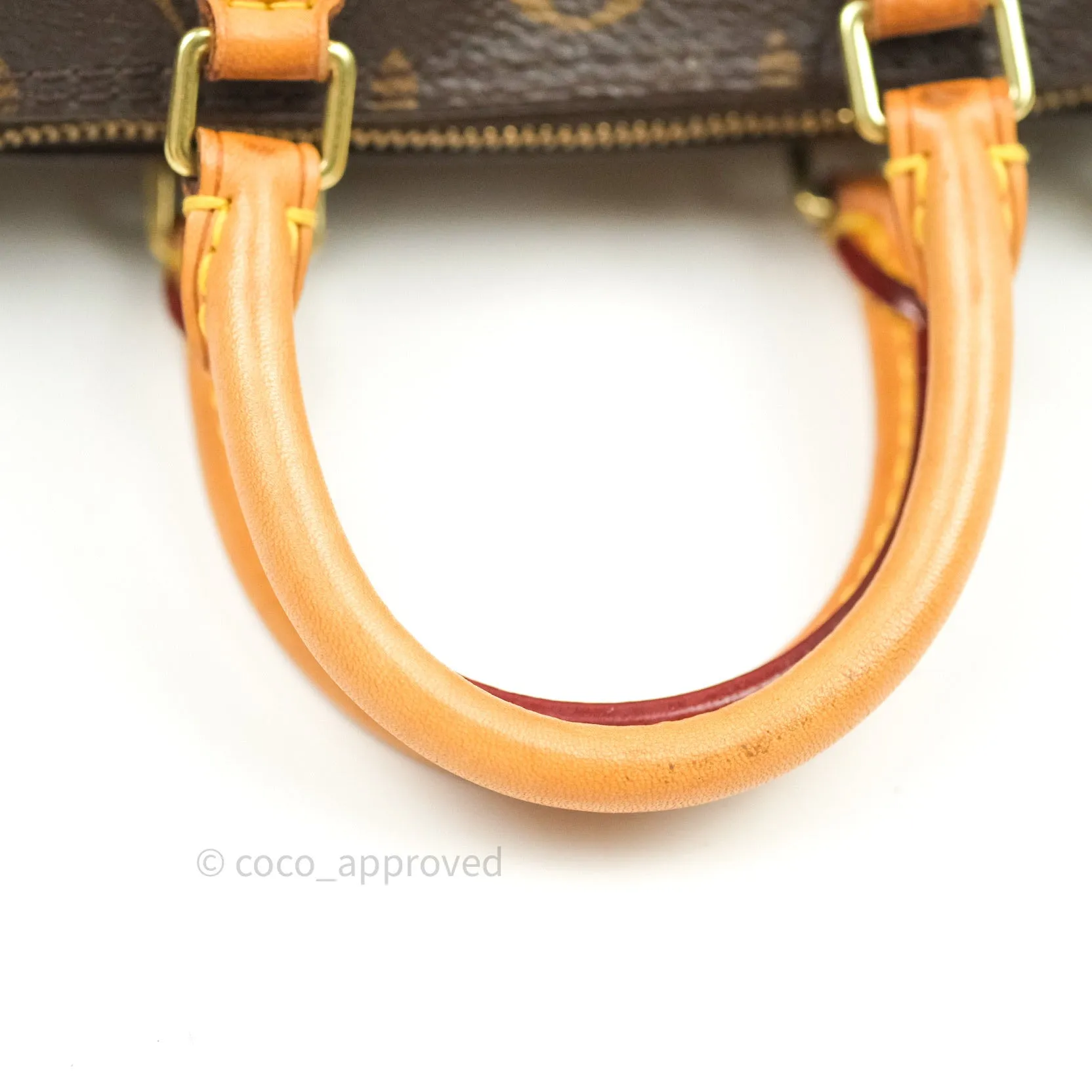 Louis Vuitton Monogram Nano Speedy