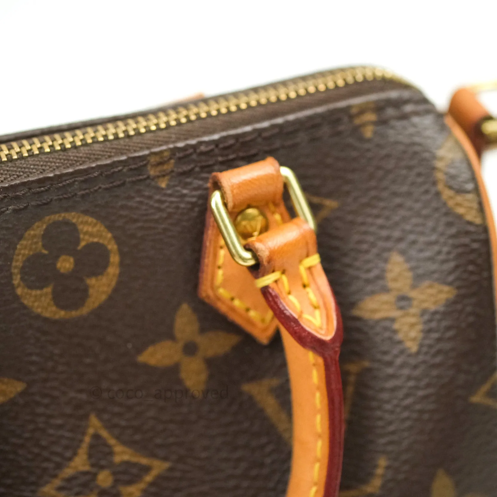 Louis Vuitton Monogram Nano Speedy