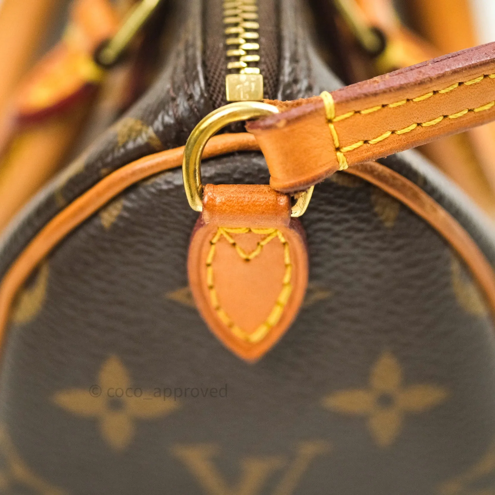 Louis Vuitton Monogram Nano Speedy