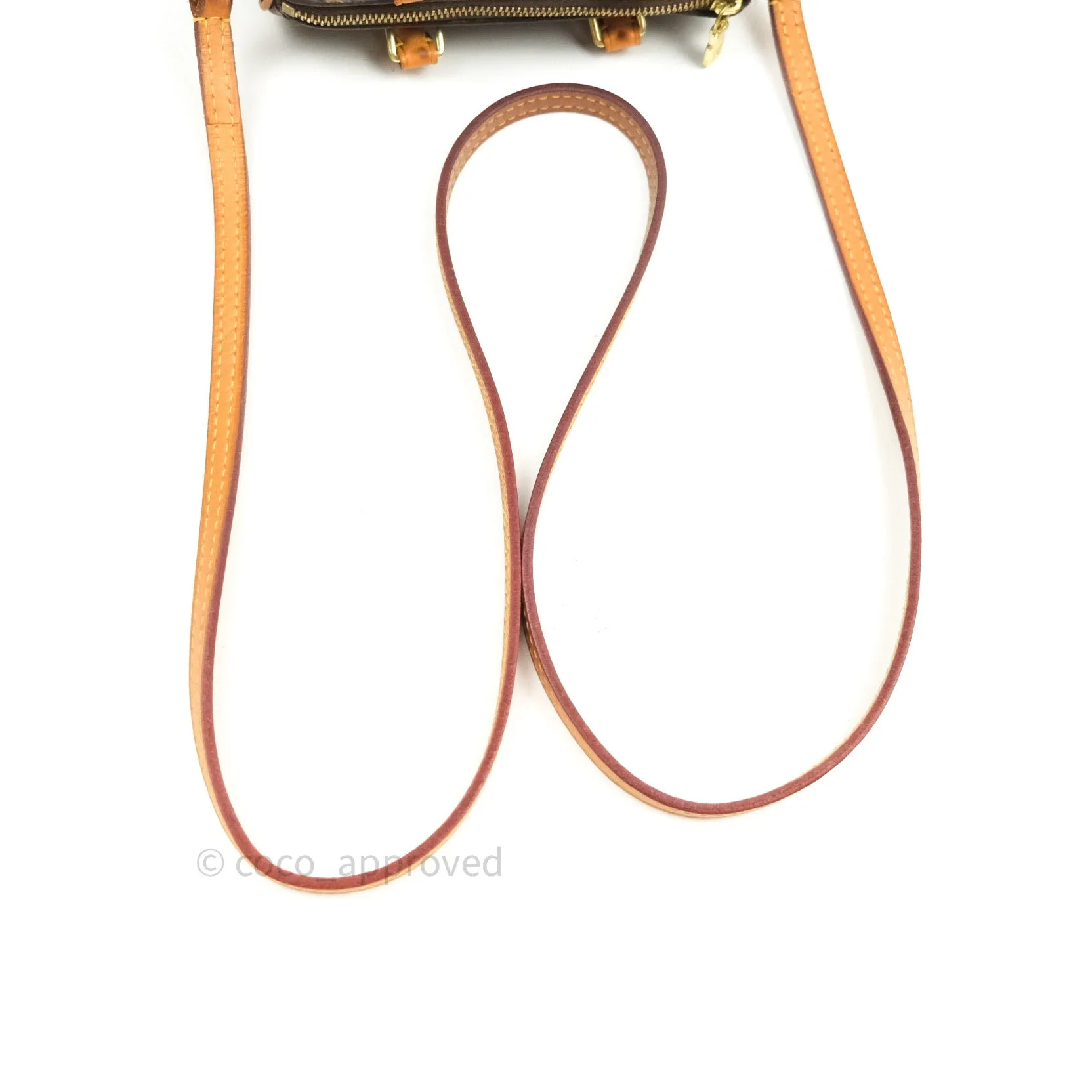 Louis Vuitton Monogram Nano Speedy