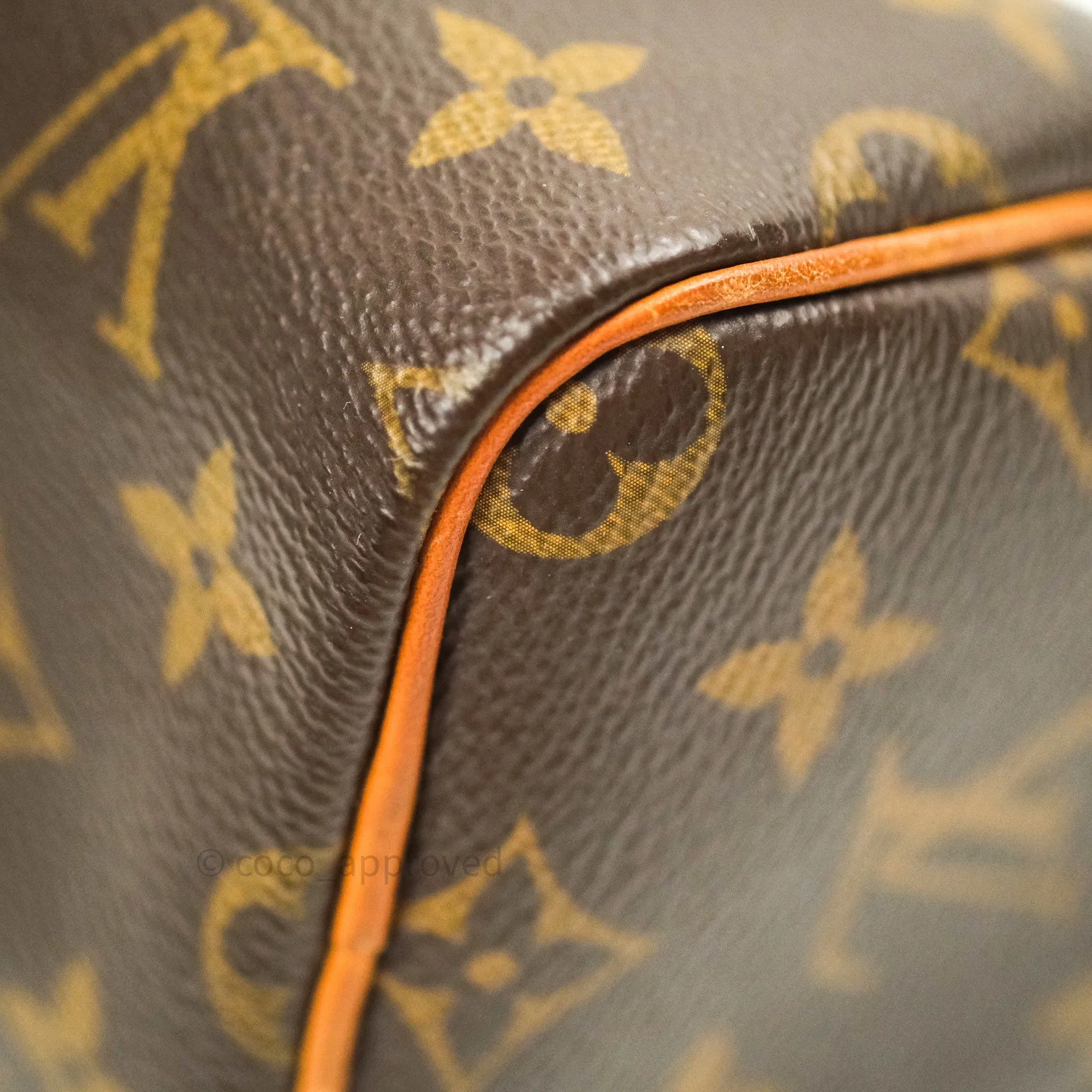 Louis Vuitton Monogram Nano Speedy