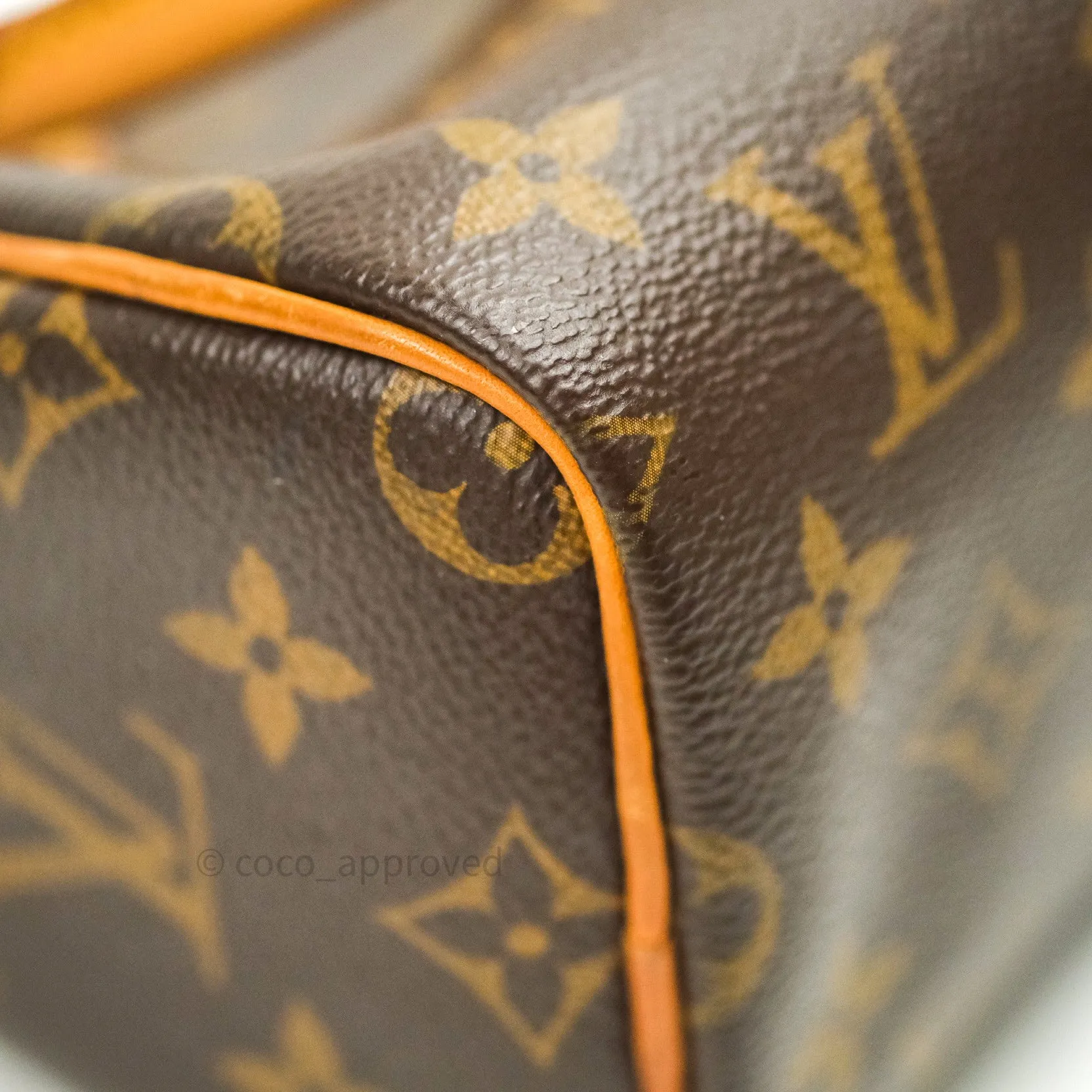 Louis Vuitton Monogram Nano Speedy