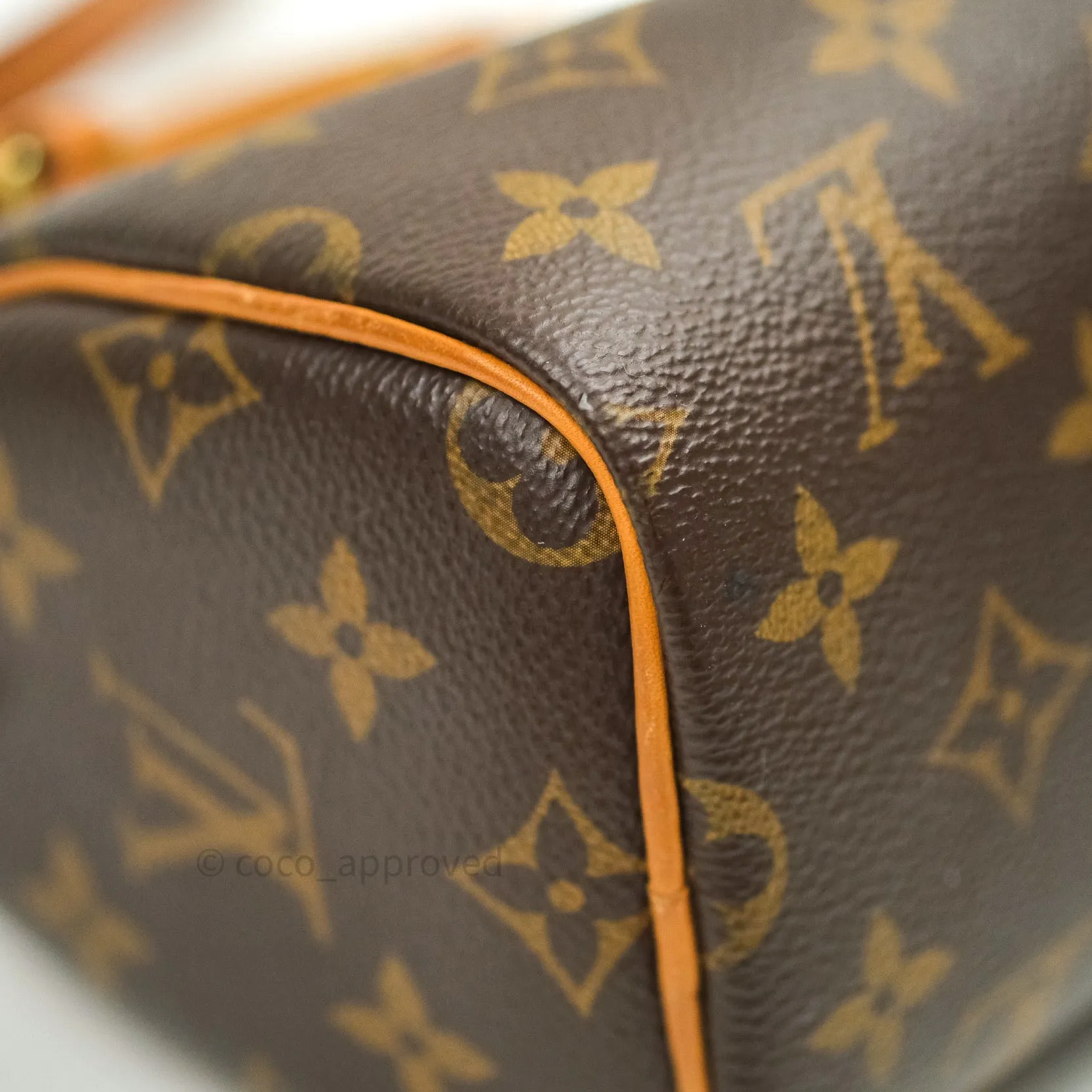 Louis Vuitton Monogram Nano Speedy