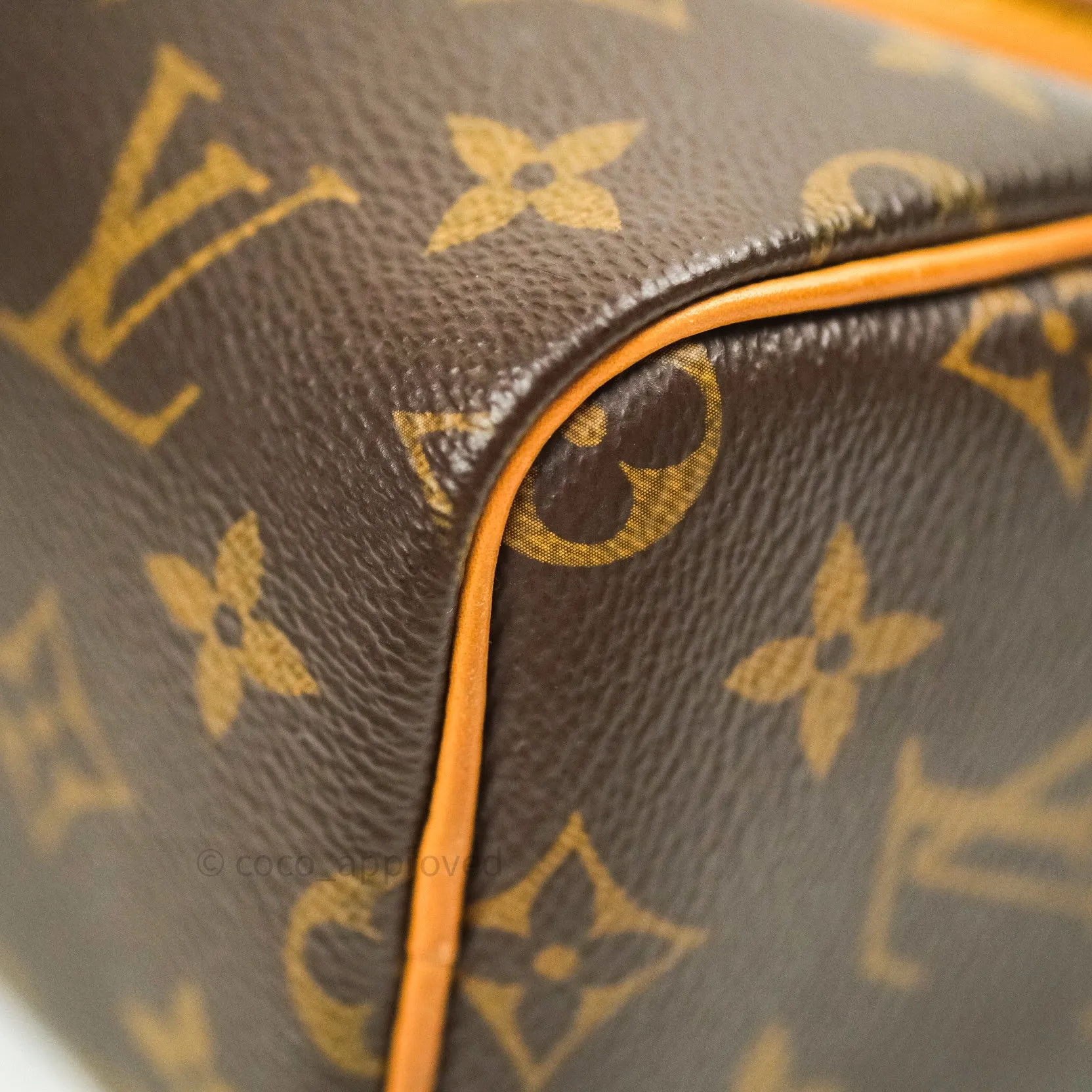 Louis Vuitton Monogram Nano Speedy