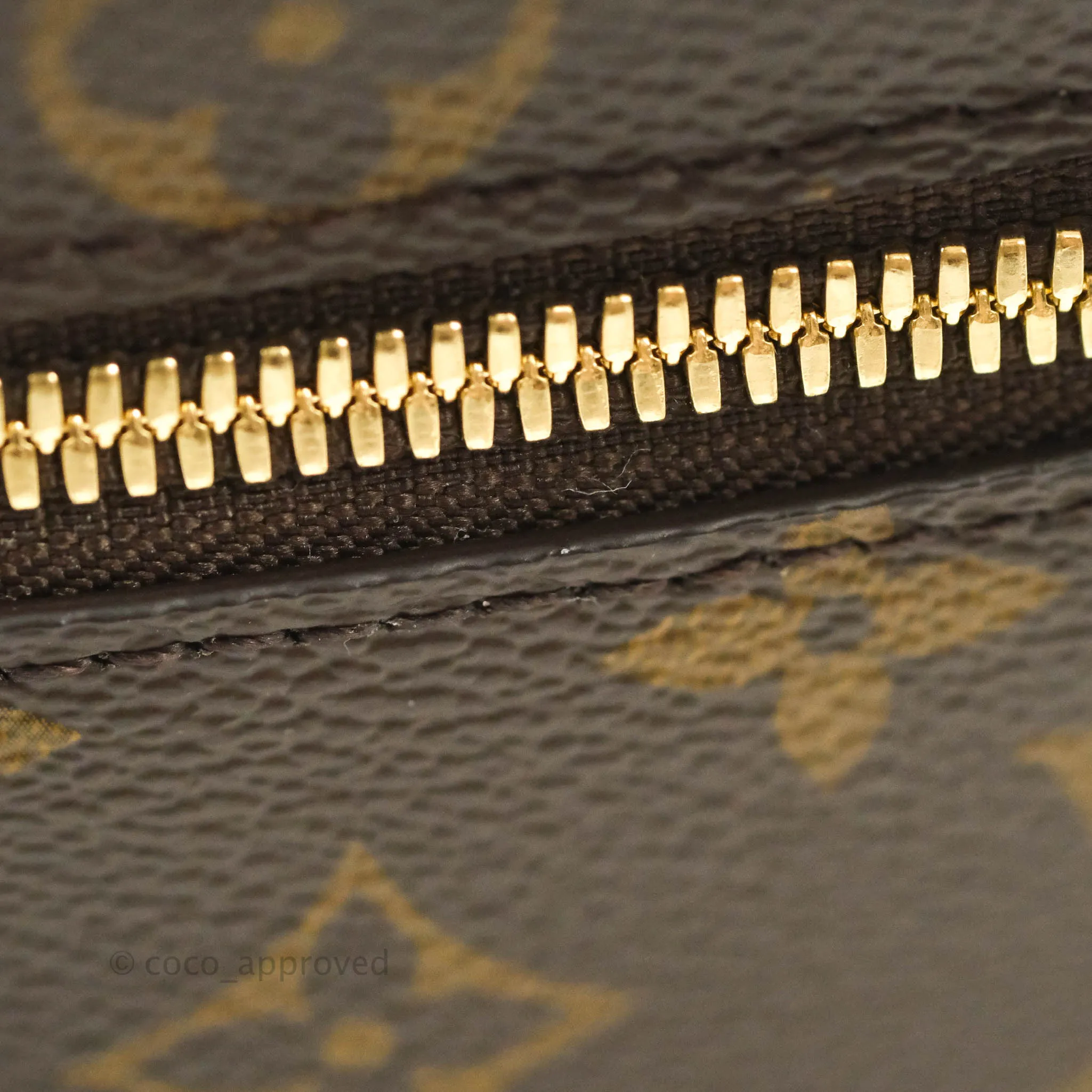 Louis Vuitton Monogram Nice Nano