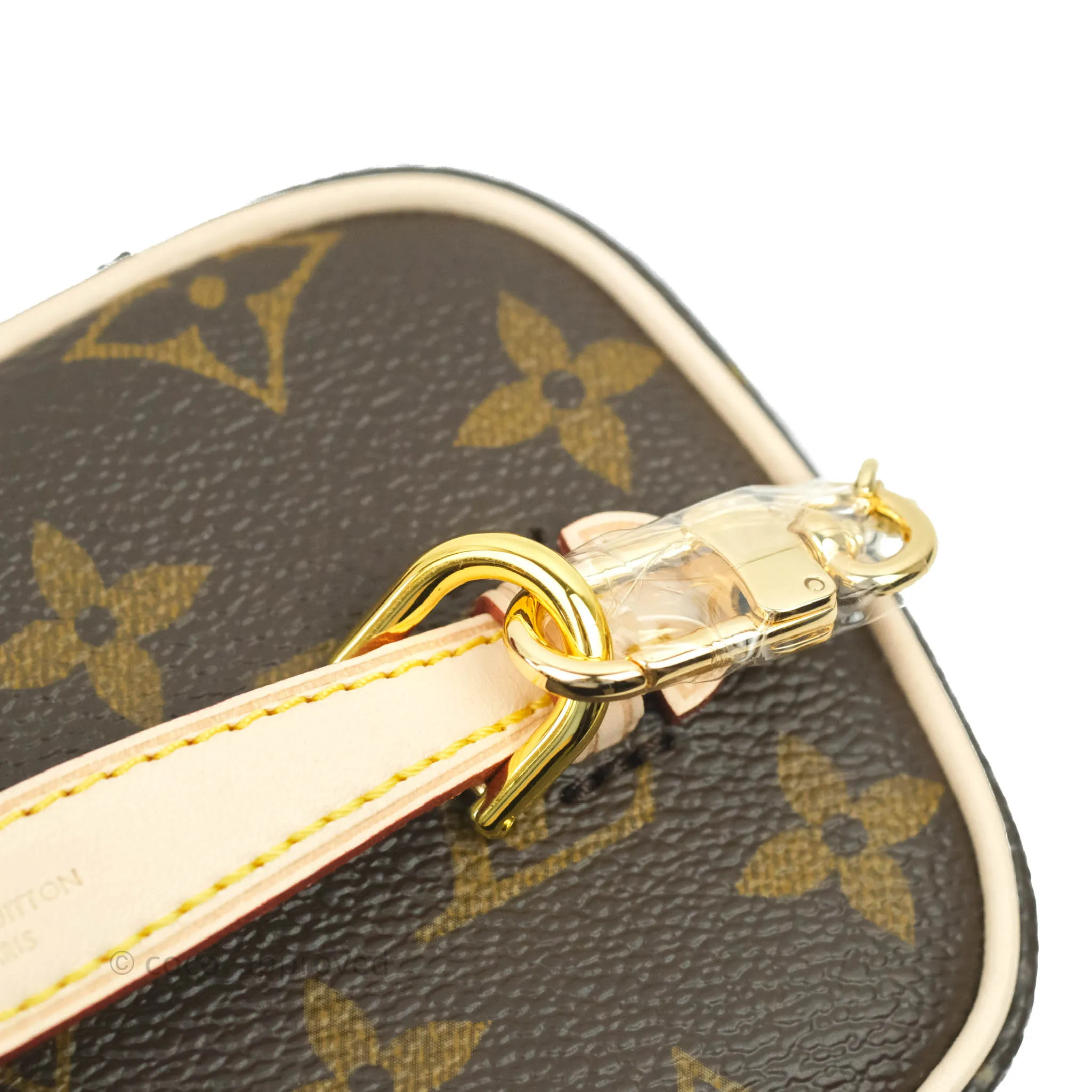 Louis Vuitton Monogram Nice Nano