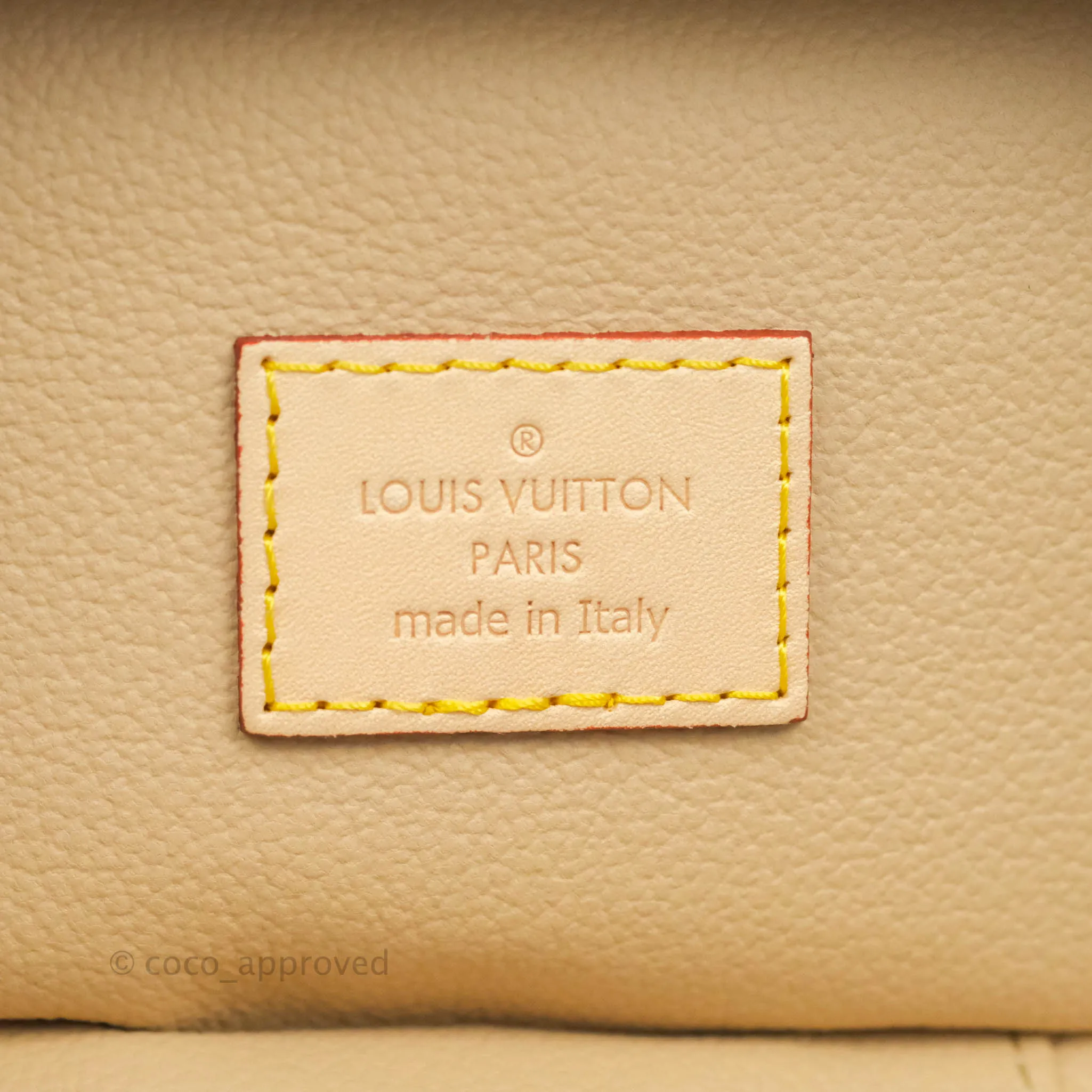 Louis Vuitton Monogram Nice Nano