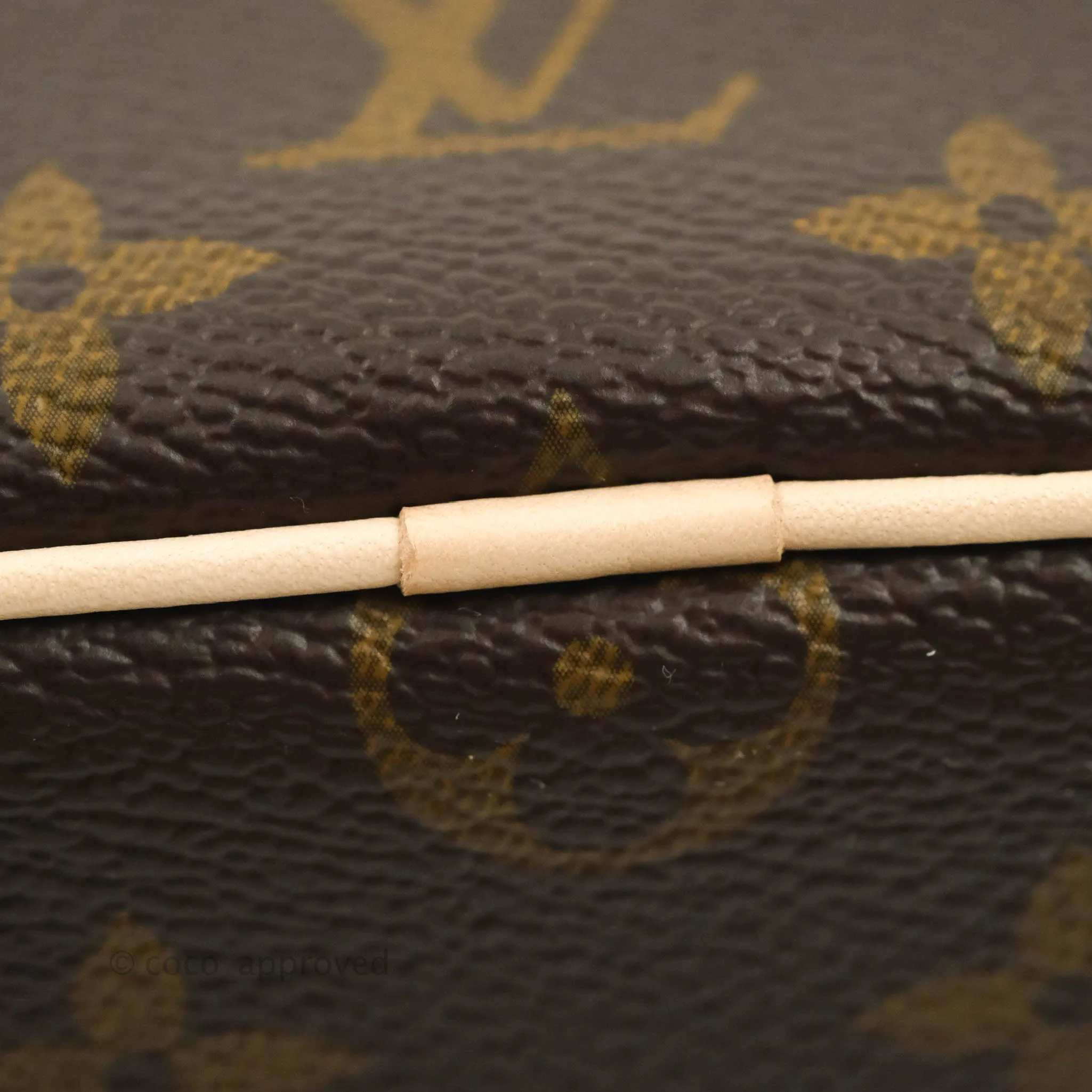 Louis Vuitton Monogram Nice Nano