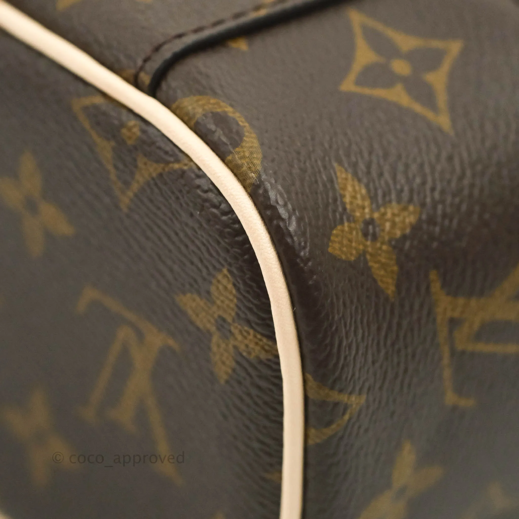 Louis Vuitton Monogram Nice Nano