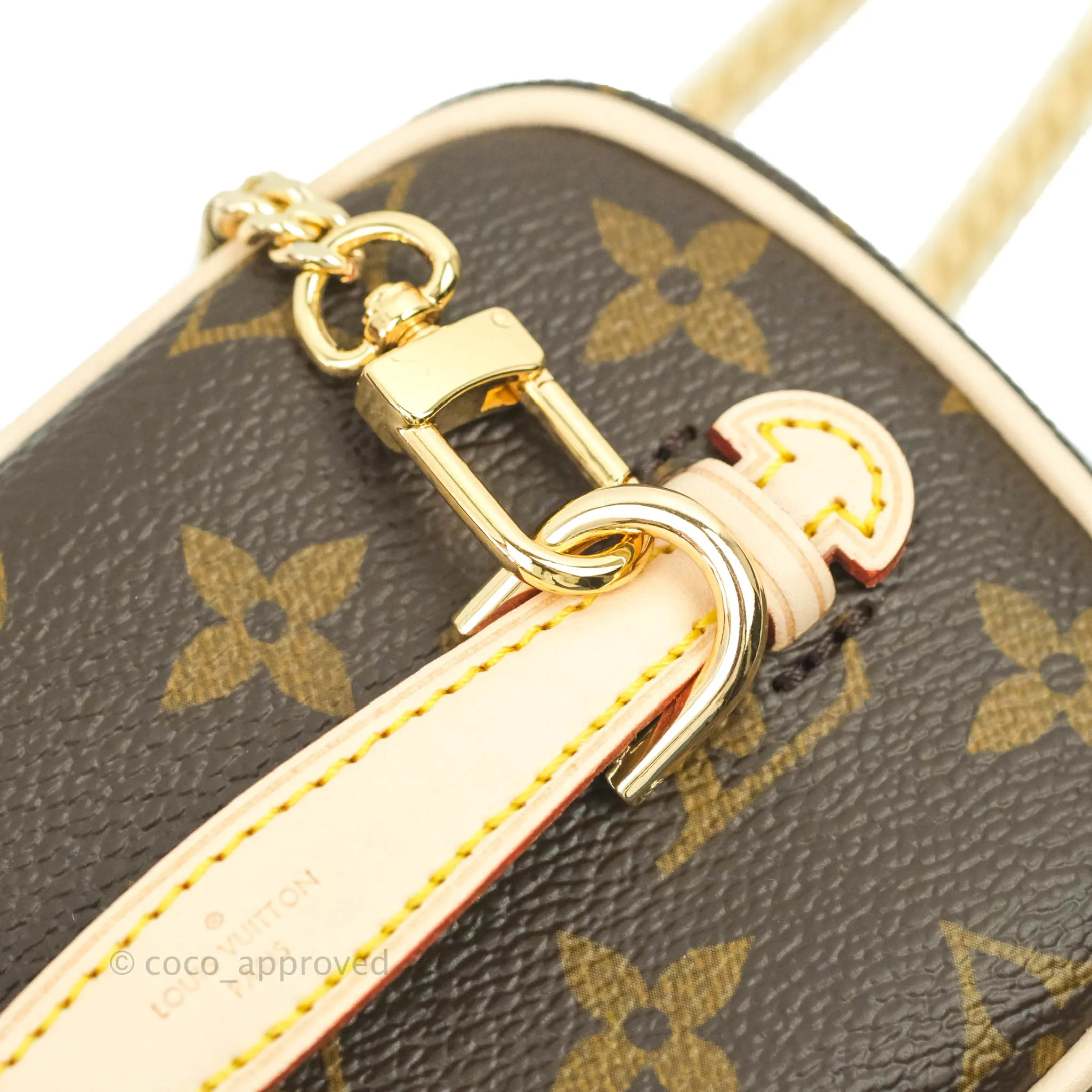 Louis Vuitton Monogram Nice Nano