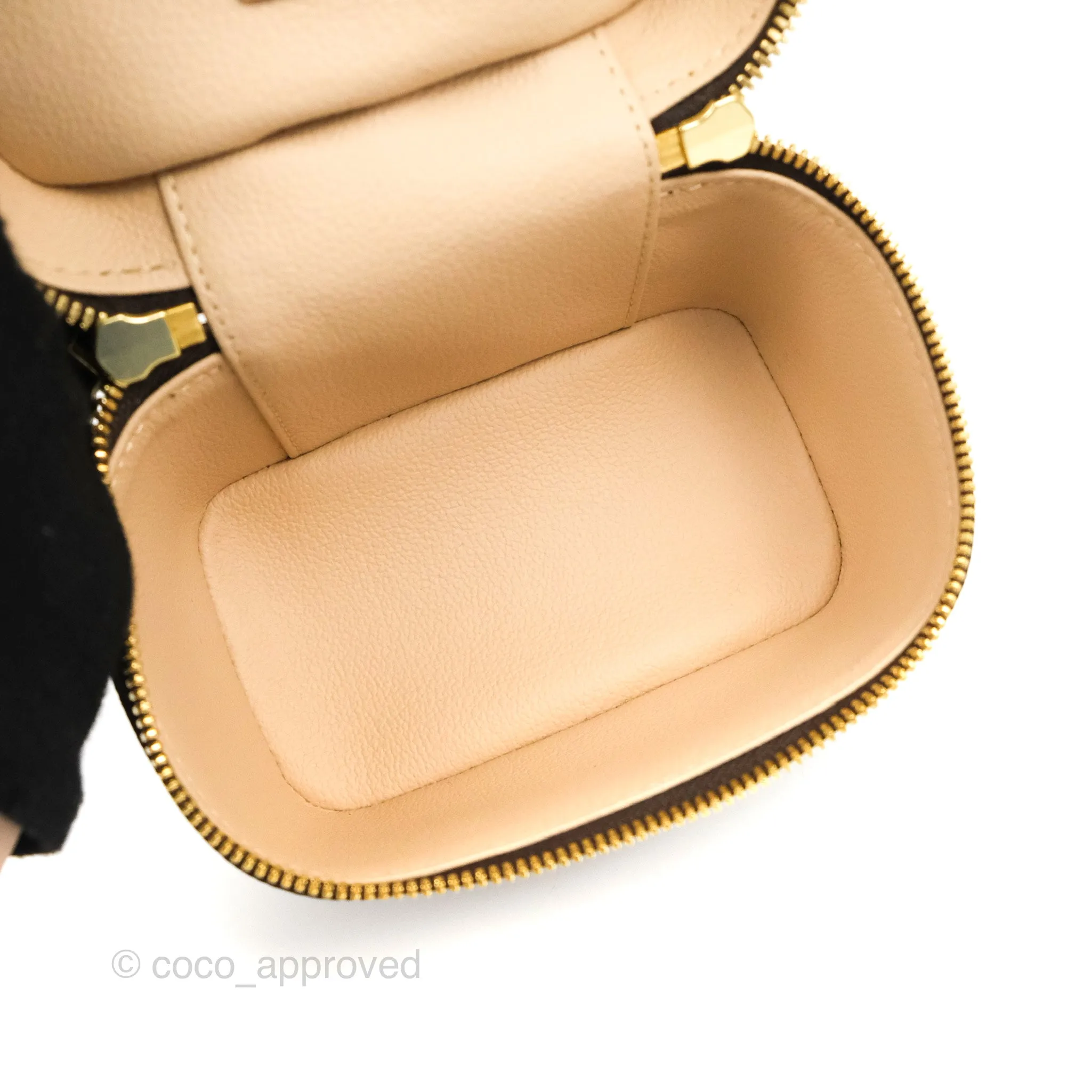 Louis Vuitton Monogram Nice Nano