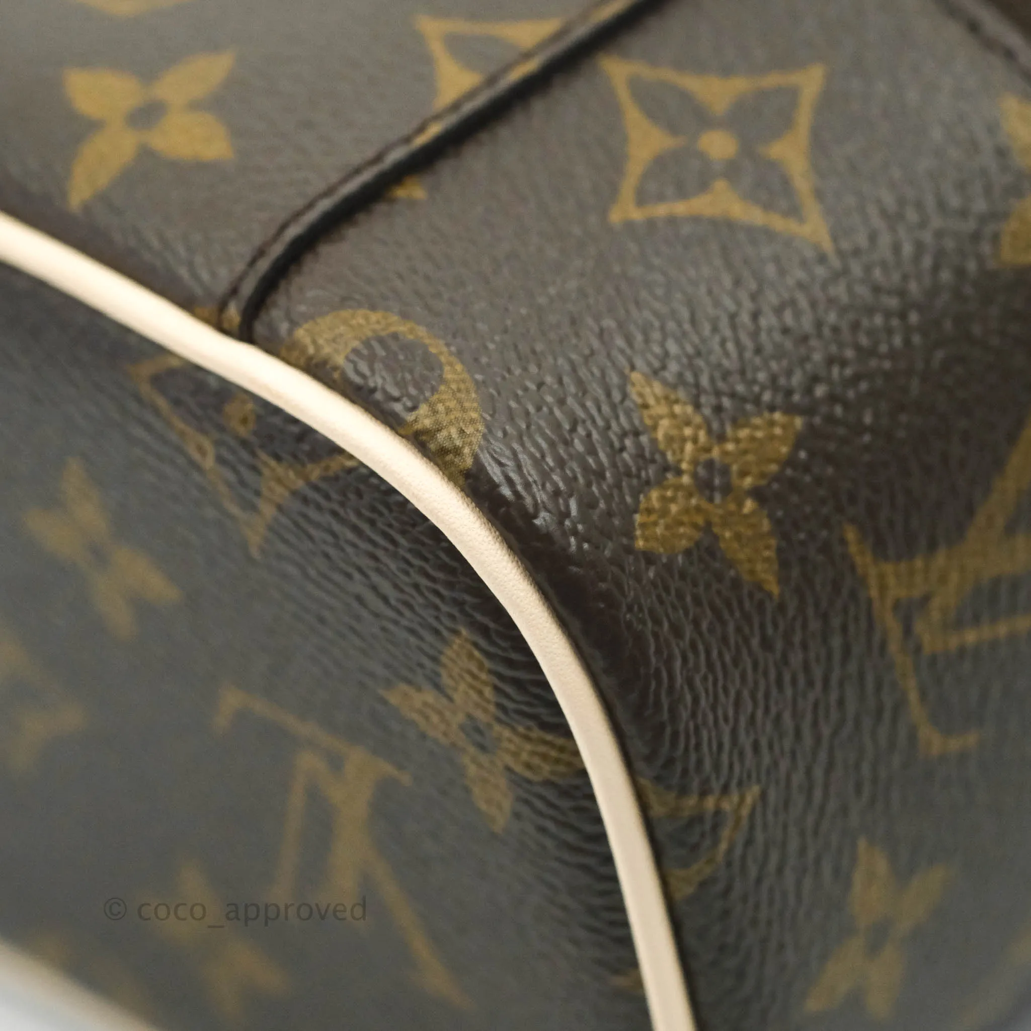Louis Vuitton Monogram Nice Nano