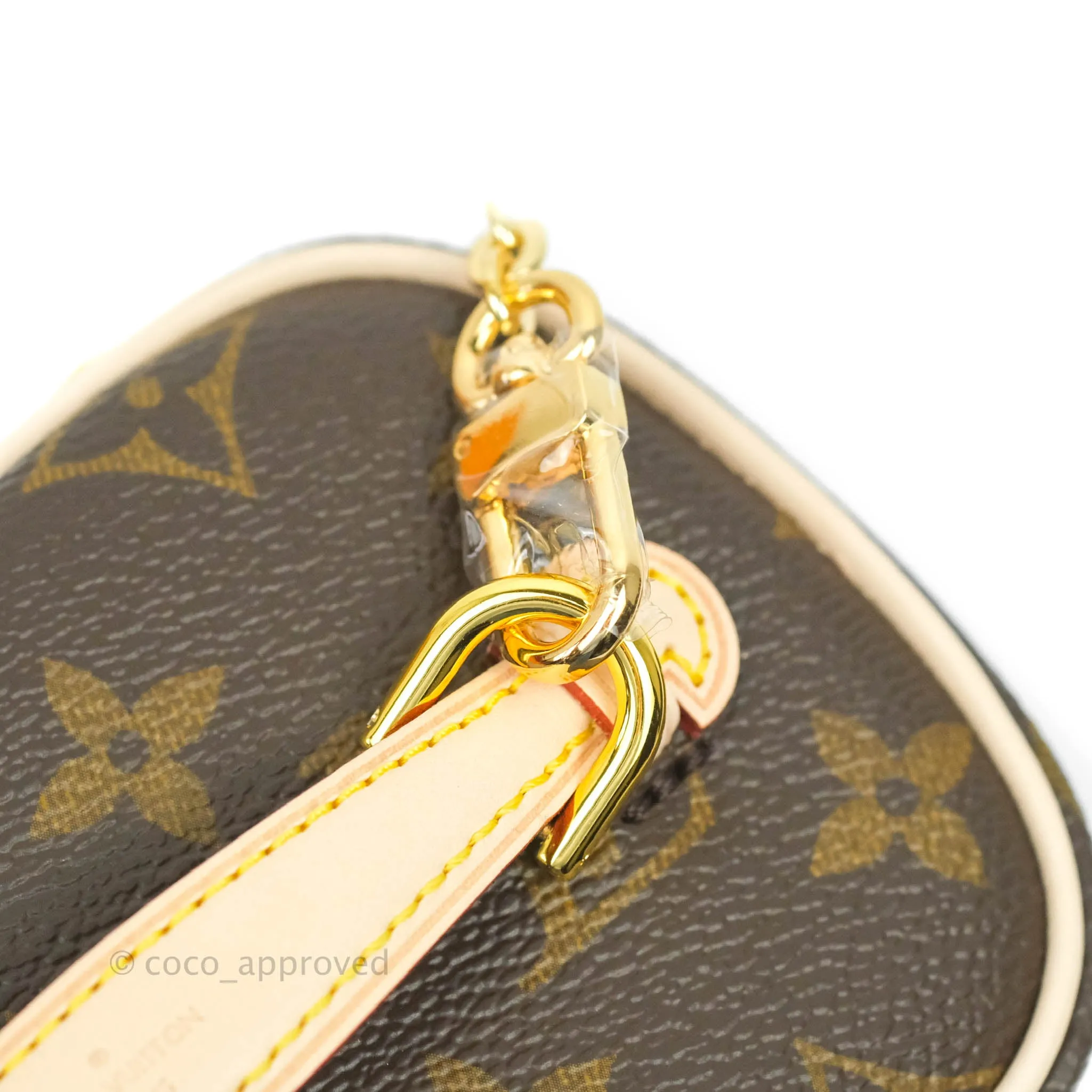 Louis Vuitton Monogram Nice Nano