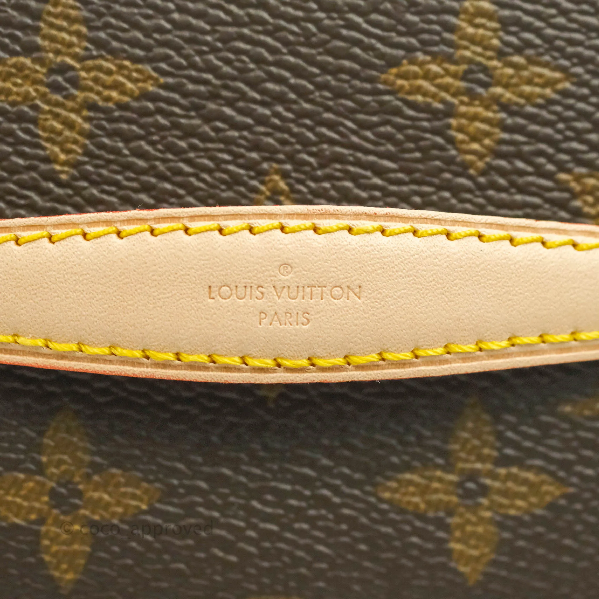 Louis Vuitton Monogram Nice Nano