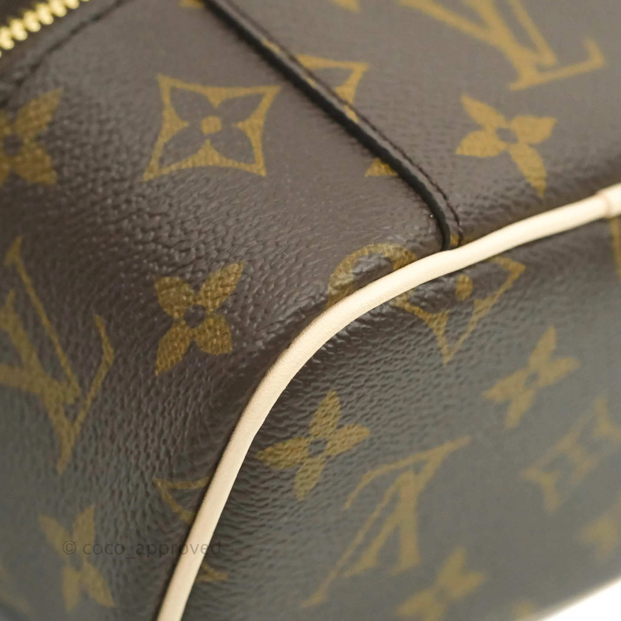Louis Vuitton Monogram Nice Nano