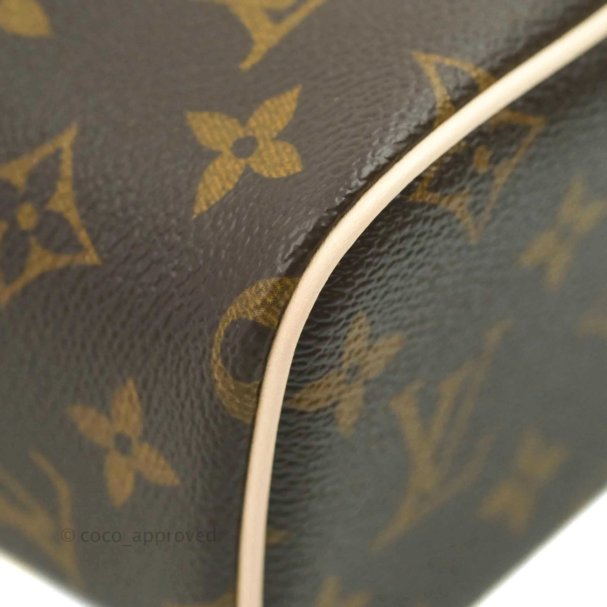 Louis Vuitton Monogram Nice Nano