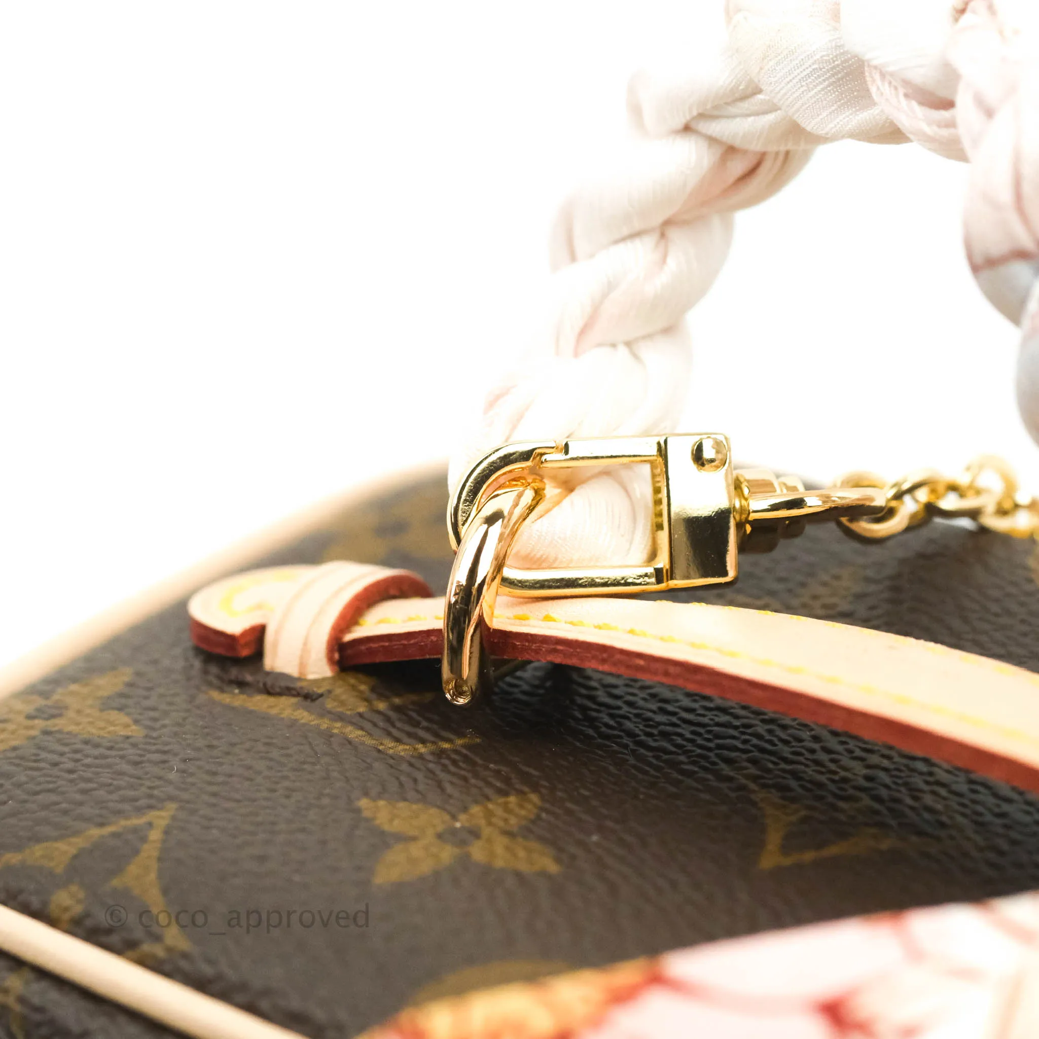 Louis Vuitton Monogram Nice Nano