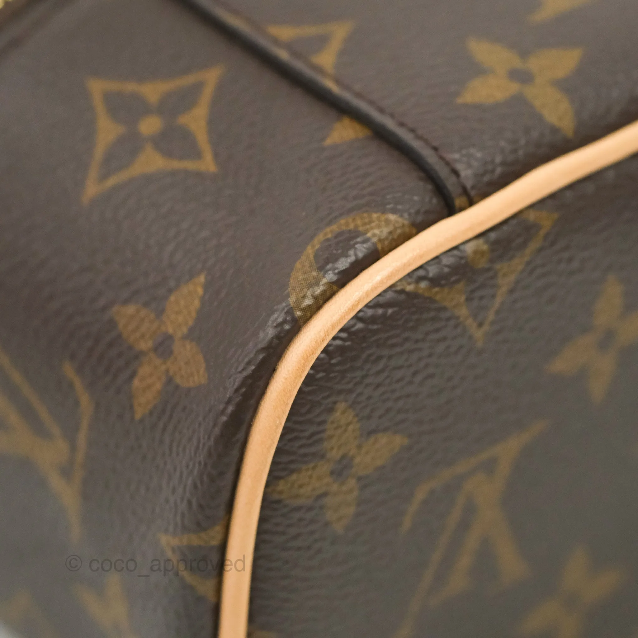 Louis Vuitton Monogram Nice Nano