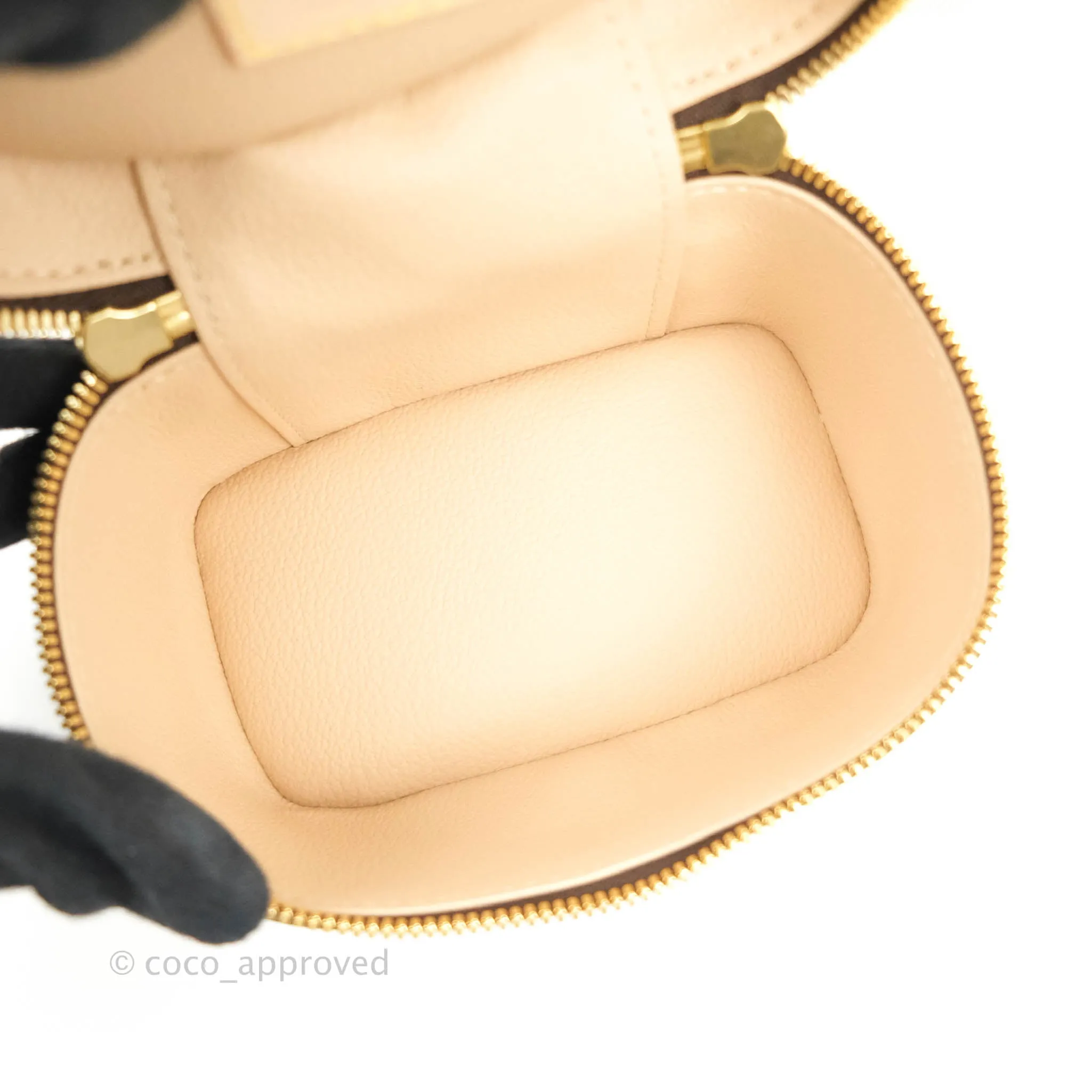 Louis Vuitton Monogram Nice Nano