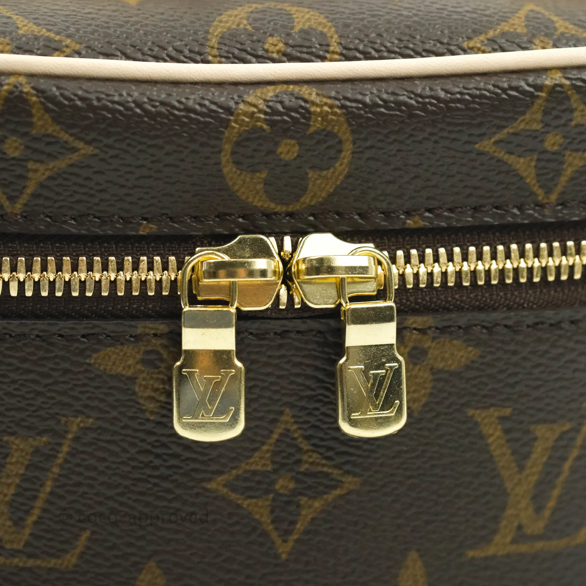 Louis Vuitton Monogram Nice Nano