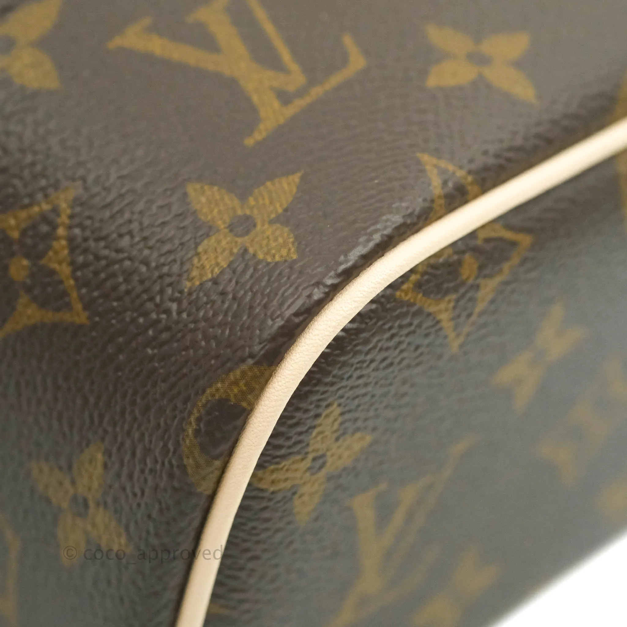 Louis Vuitton Monogram Nice Nano