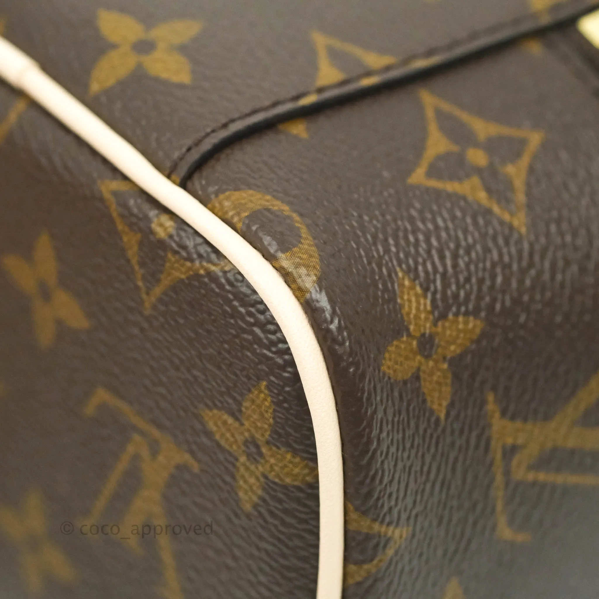 Louis Vuitton Monogram Nice Nano