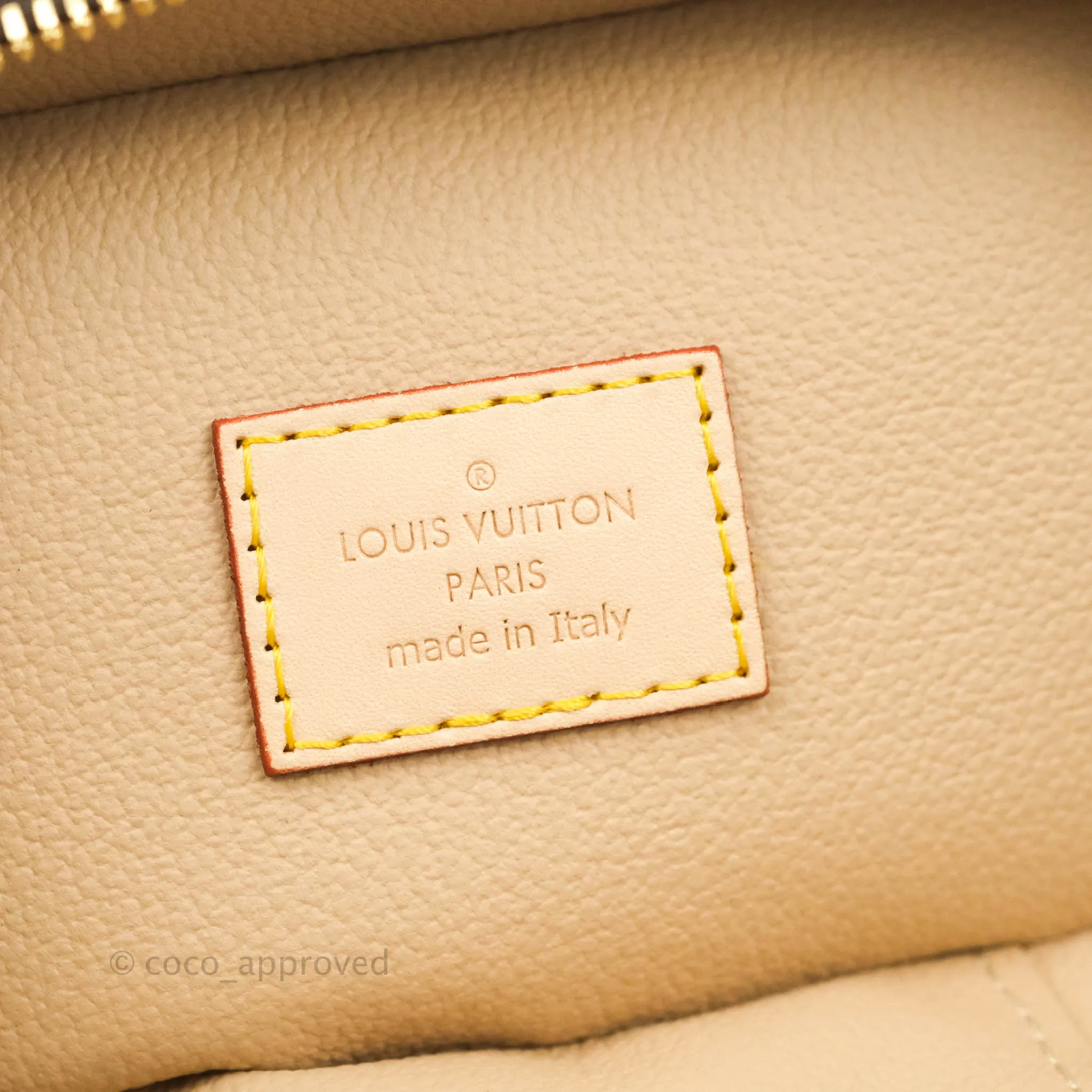 Louis Vuitton Monogram Nice Nano