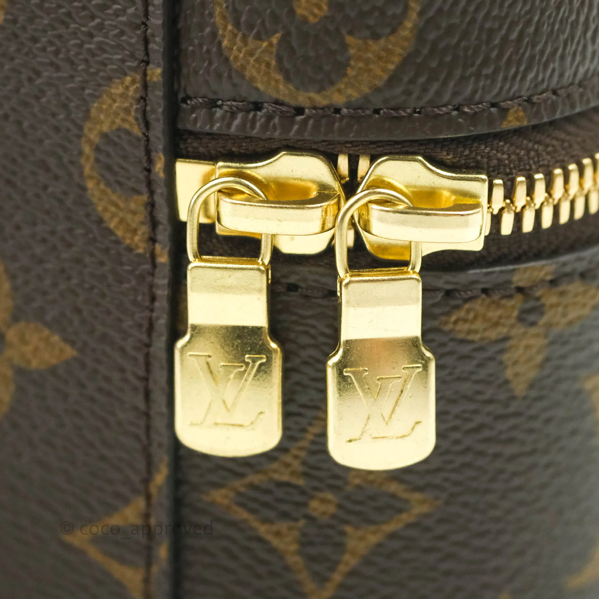 Louis Vuitton Monogram Nice Nano