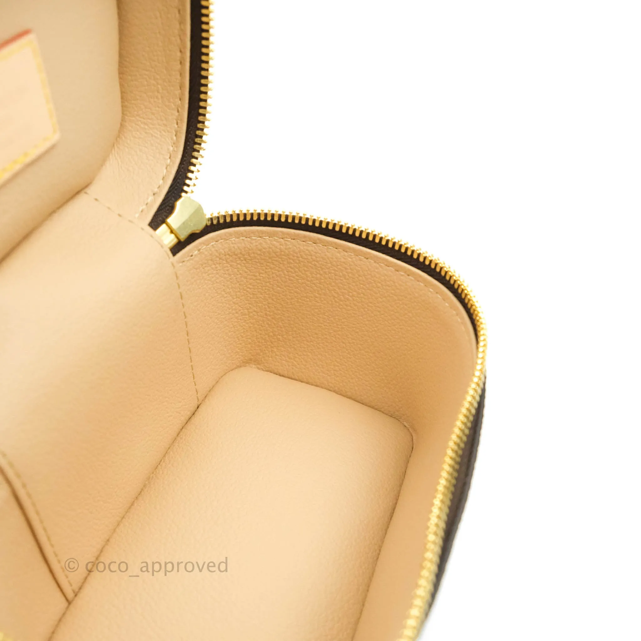 Louis Vuitton Monogram Nice Nano